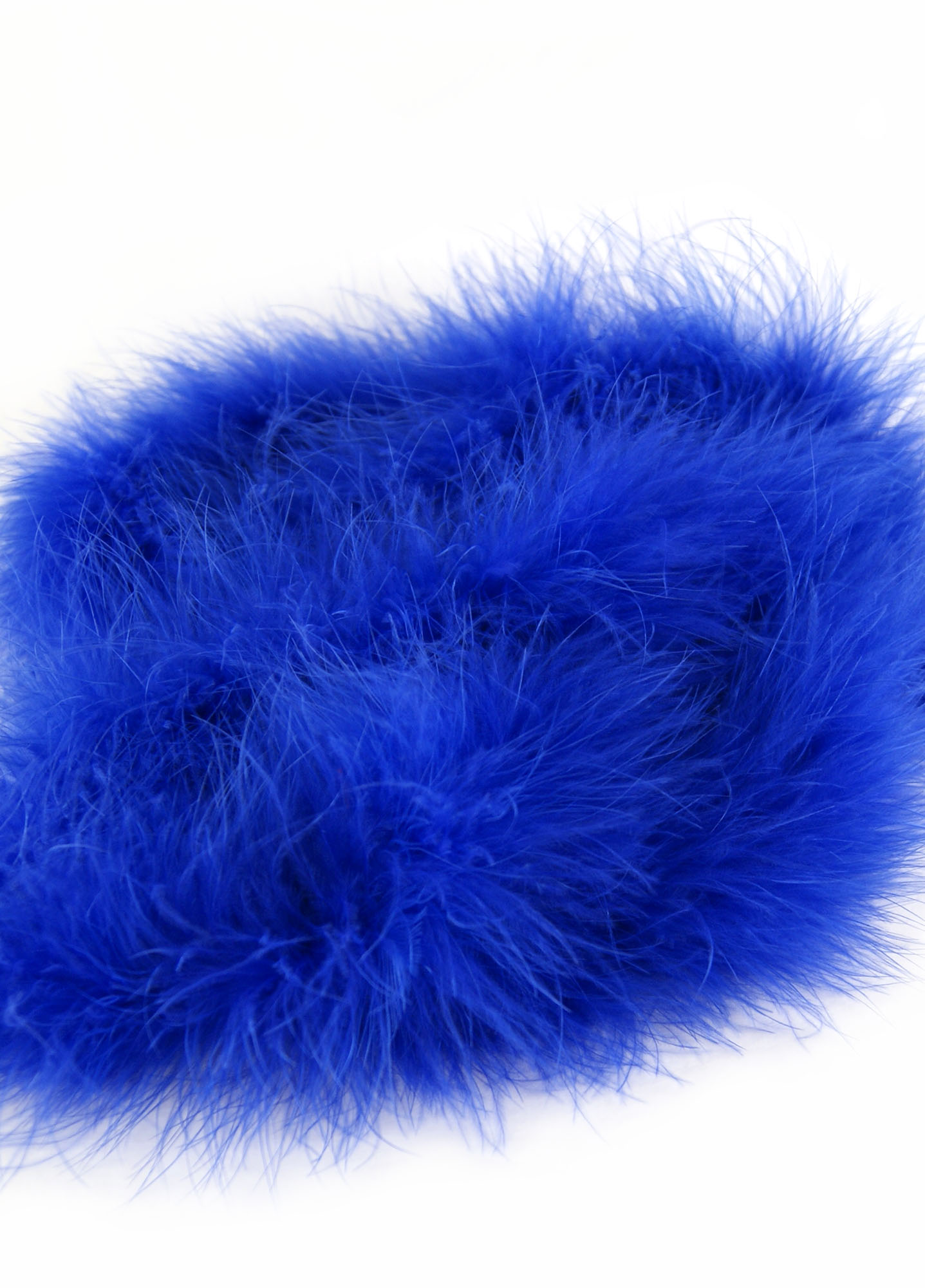 boa dinde bleu