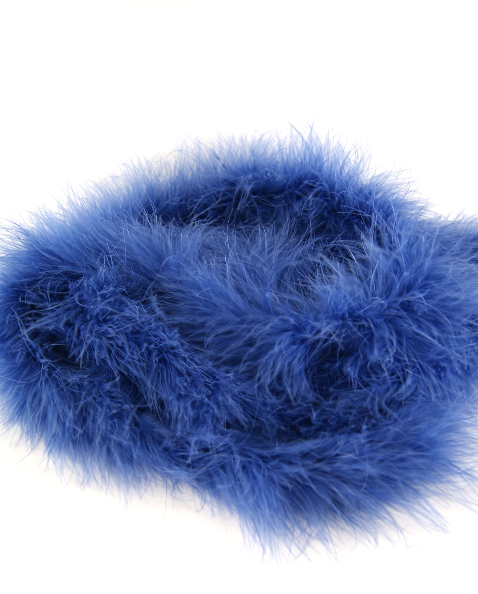 bande plume duvet bleuet