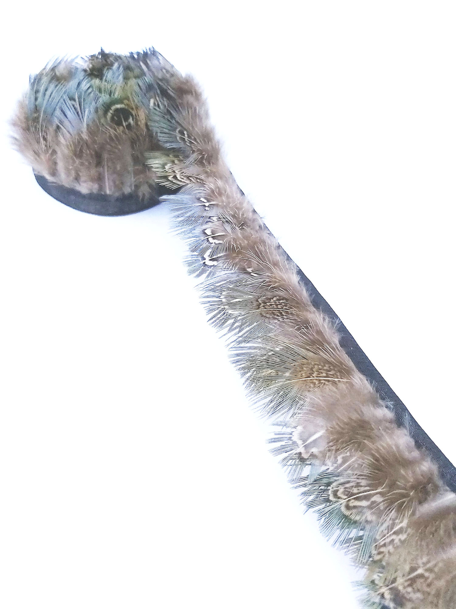 Frange plume faisan commun bleutée - 1 m