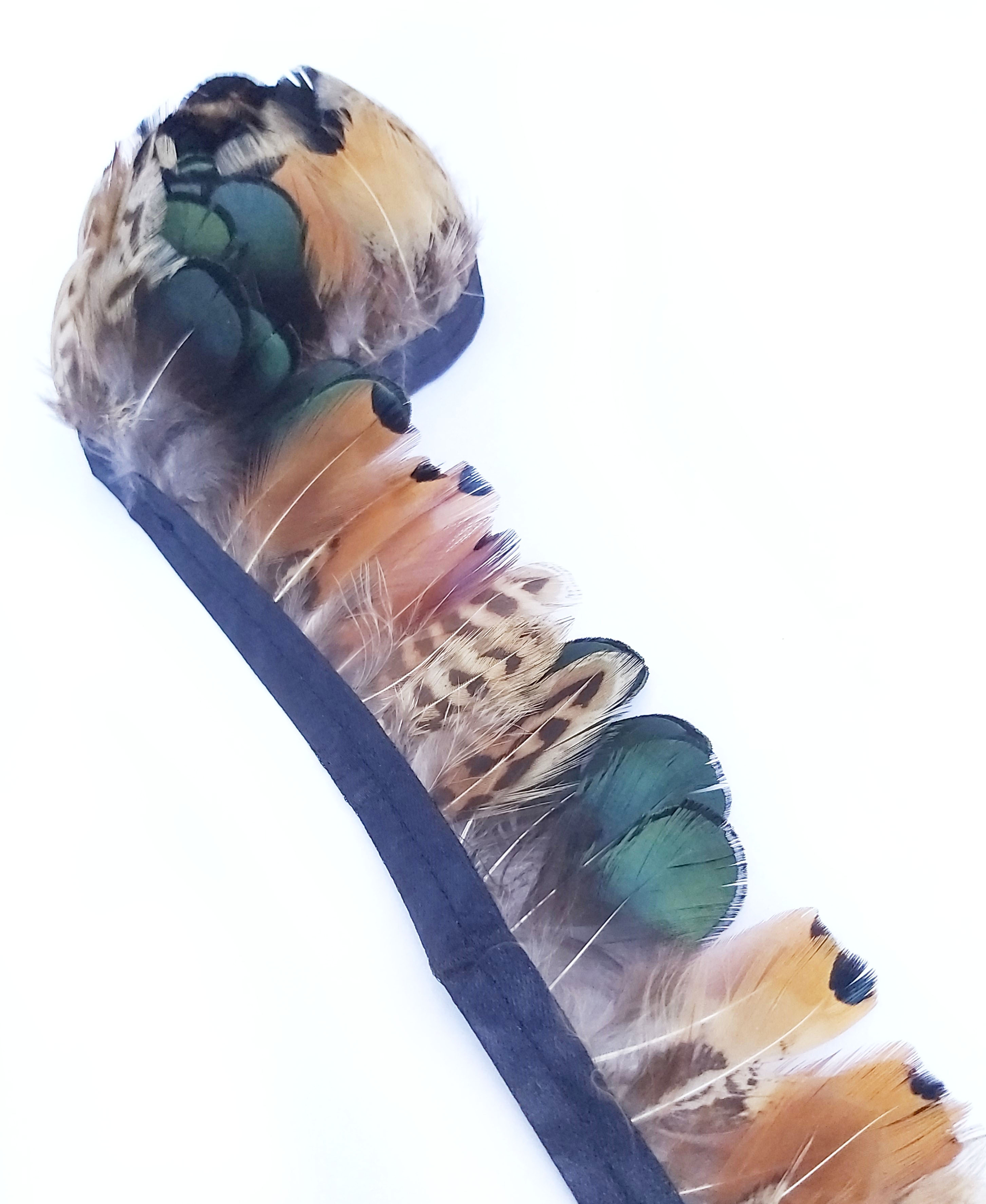 galon plume faisan mixe marron naturel vert