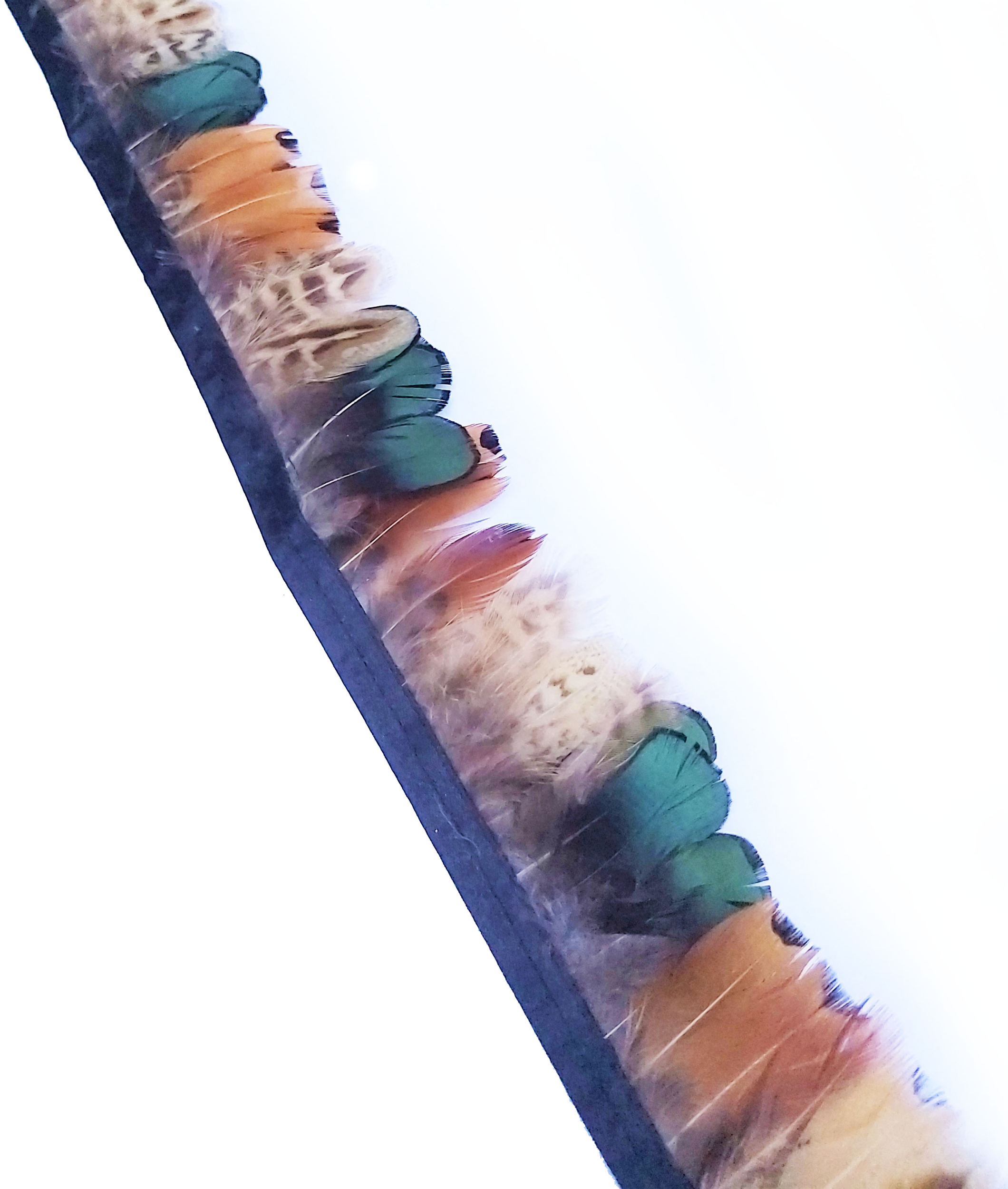 frange plume faisan mixe marron naturel vert