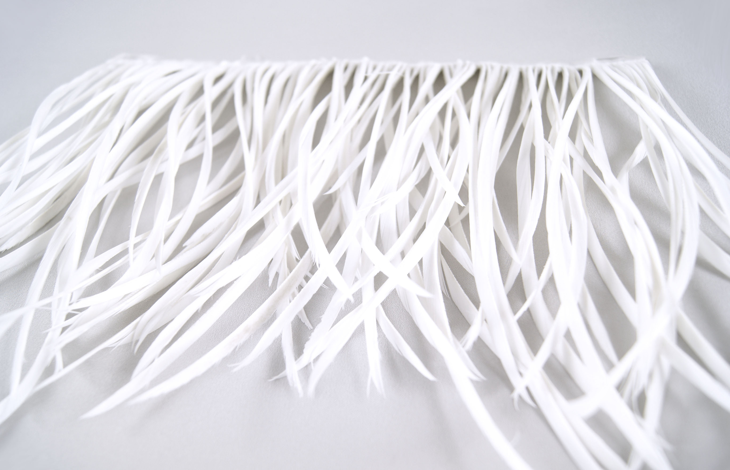 galon plume tige doie blanc
