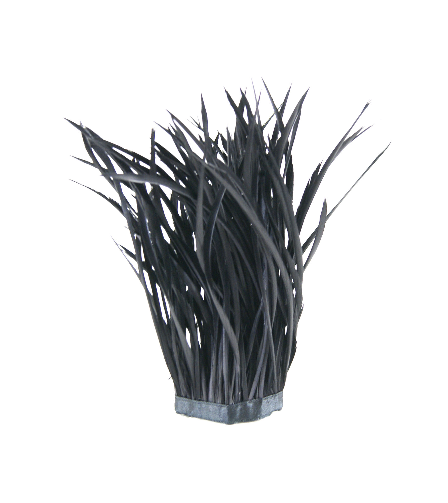 galon plume tige doie noir