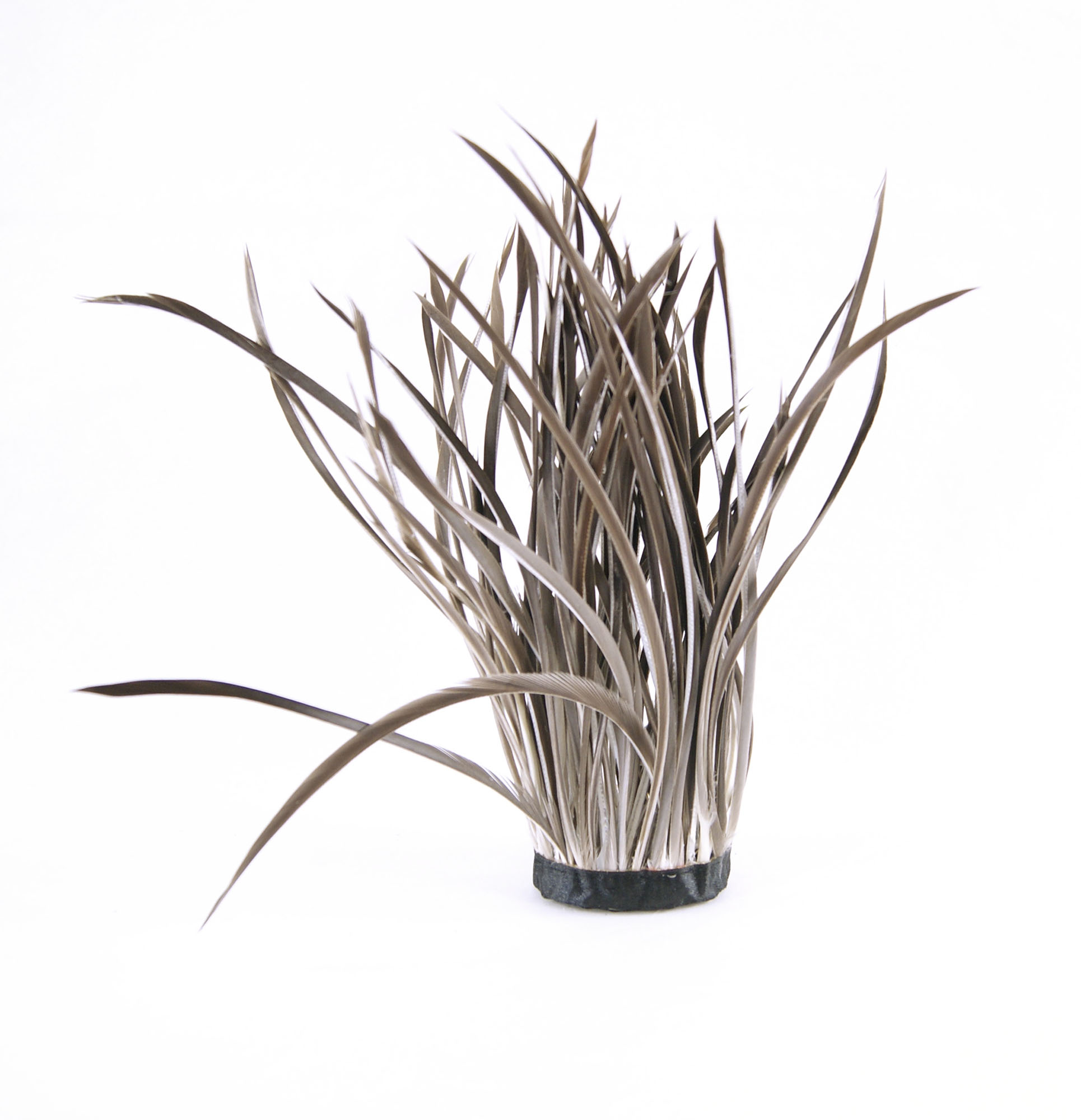frange plume biot doie naturel gris