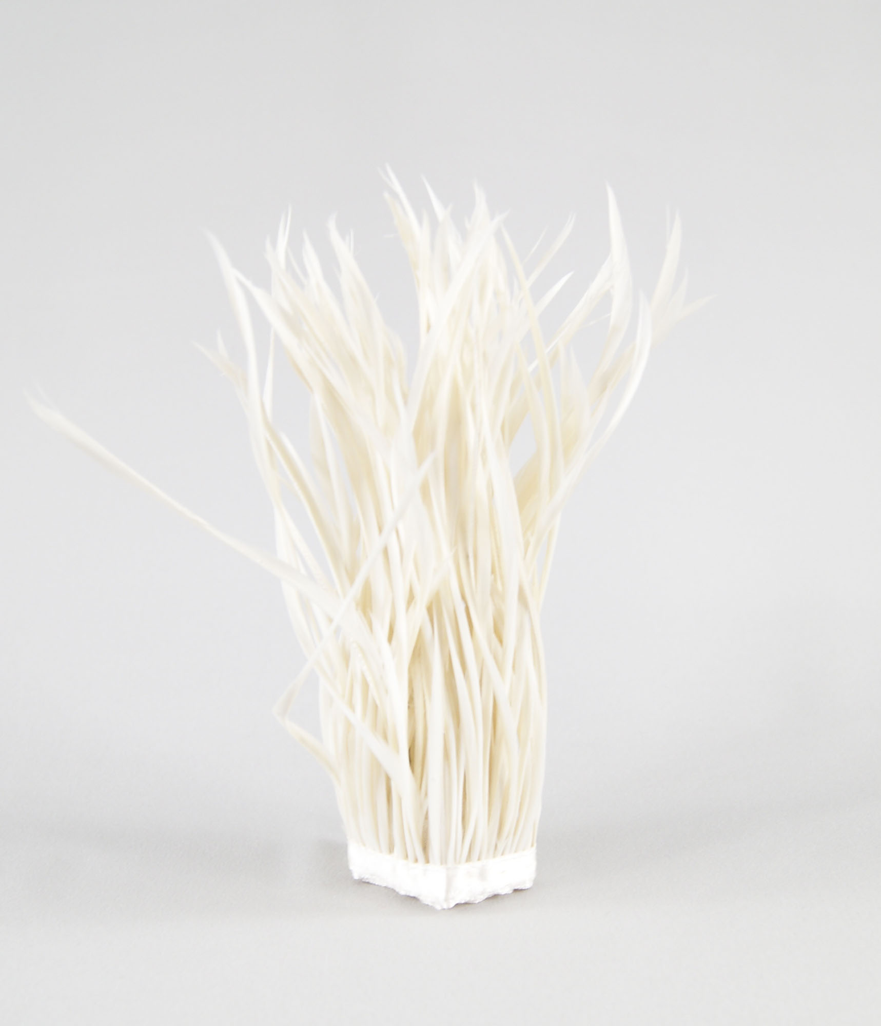 frange plume biot doie ecru