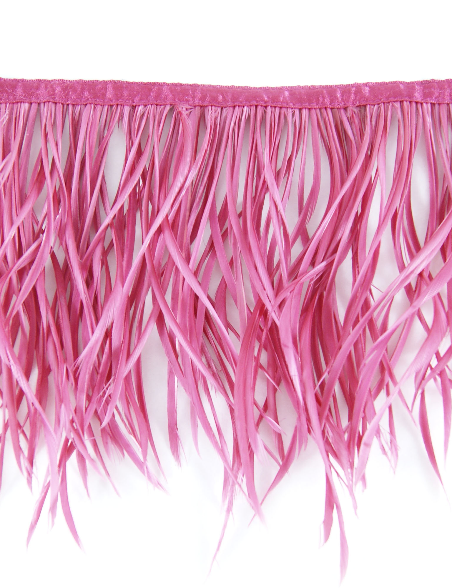 galon plume tige doie hot pink