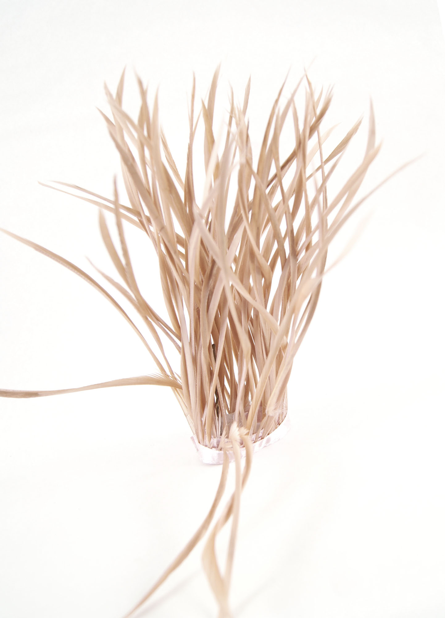 frange plume biot doie sable raide