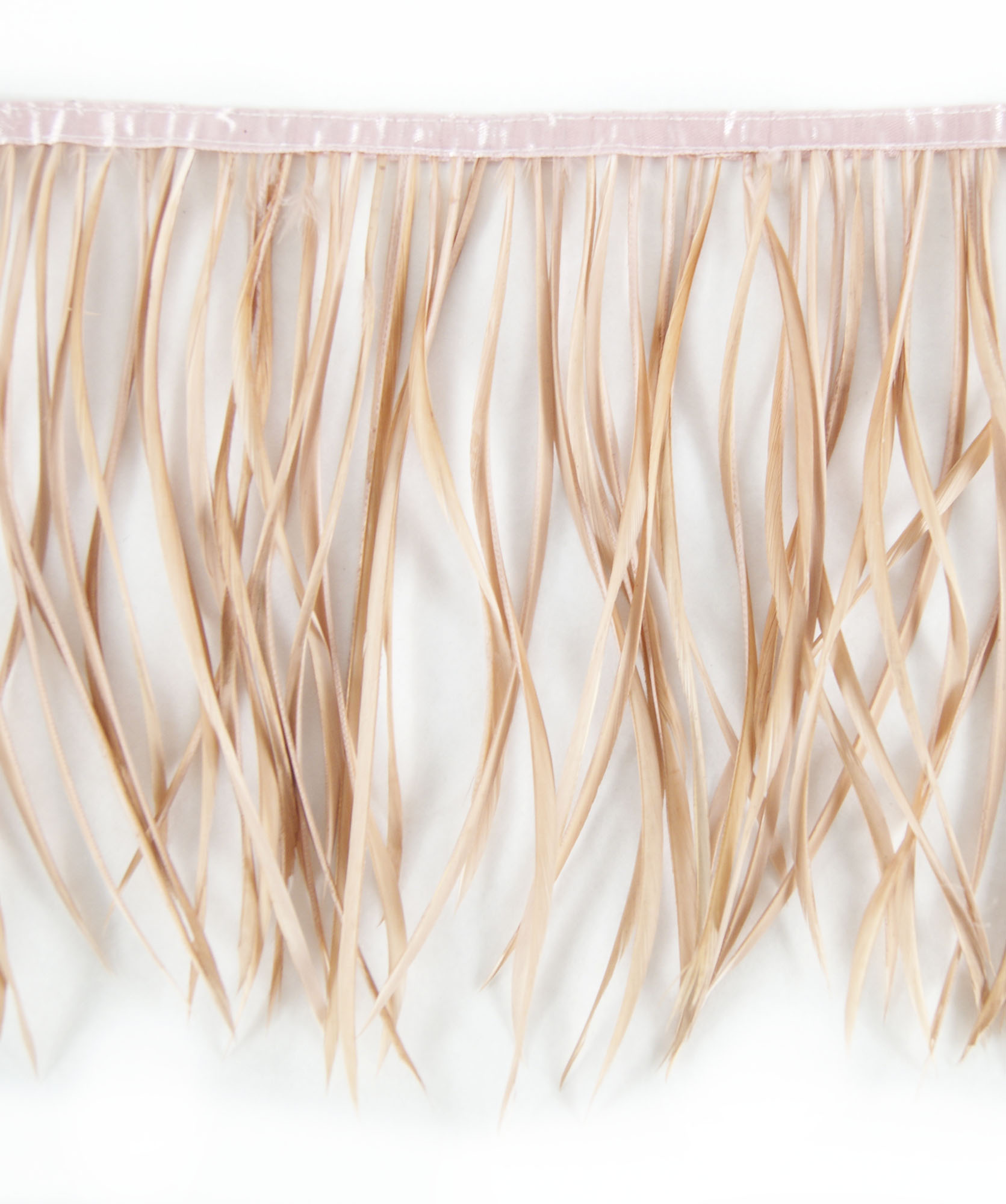 galon plume tige doie sable de qualite