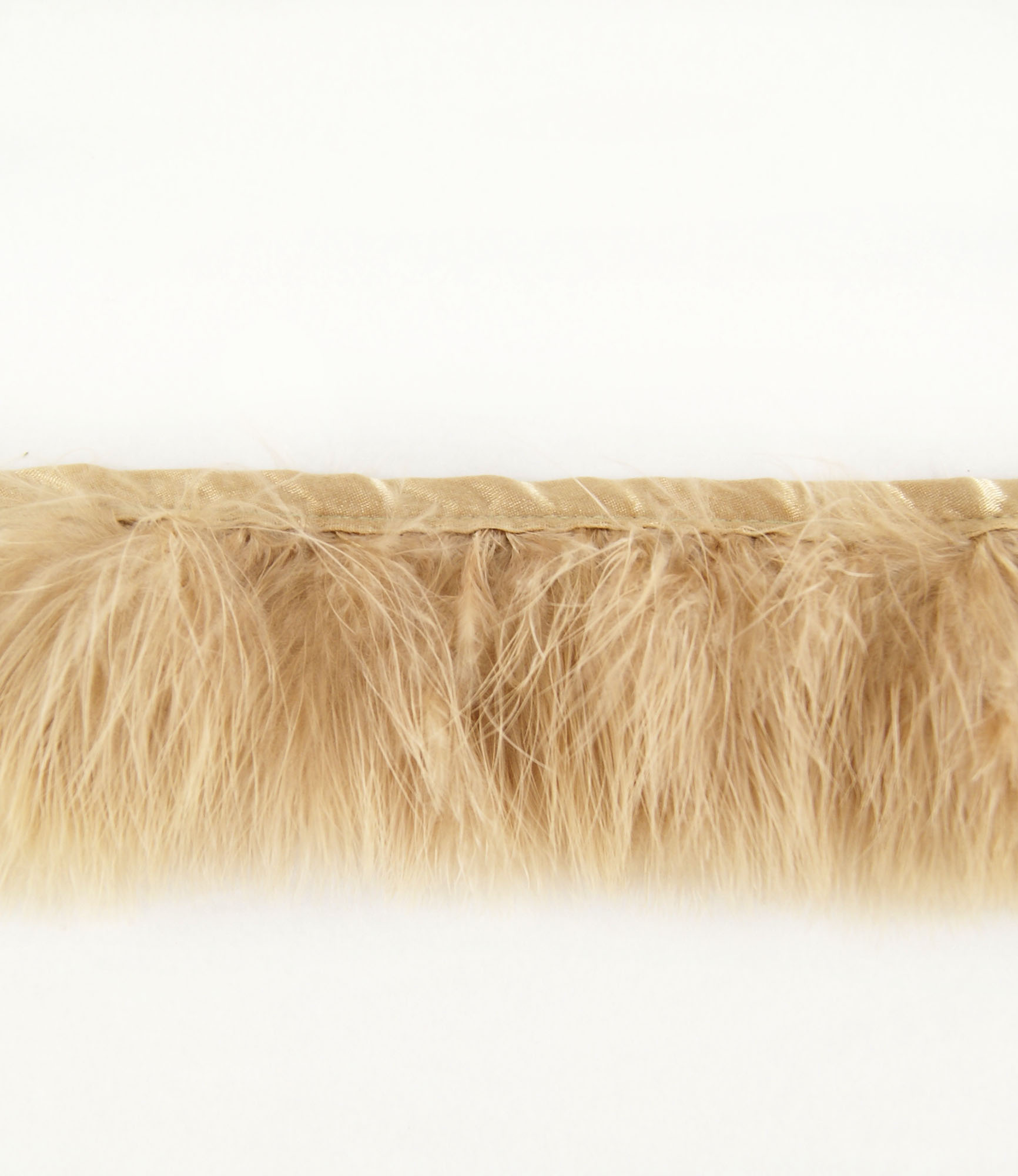 galon plume de dinde marabout beige