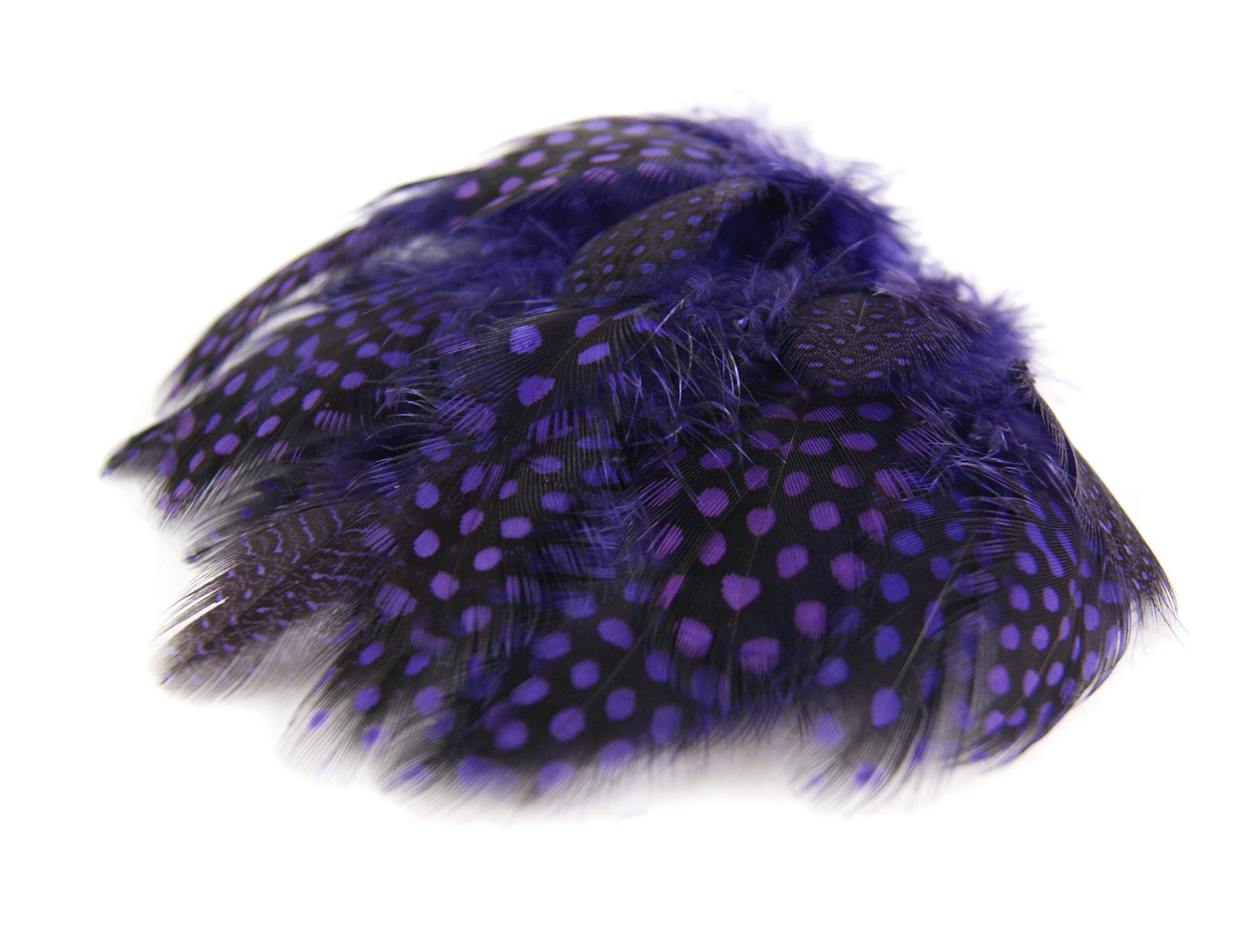 plume de pintade legere violet iris