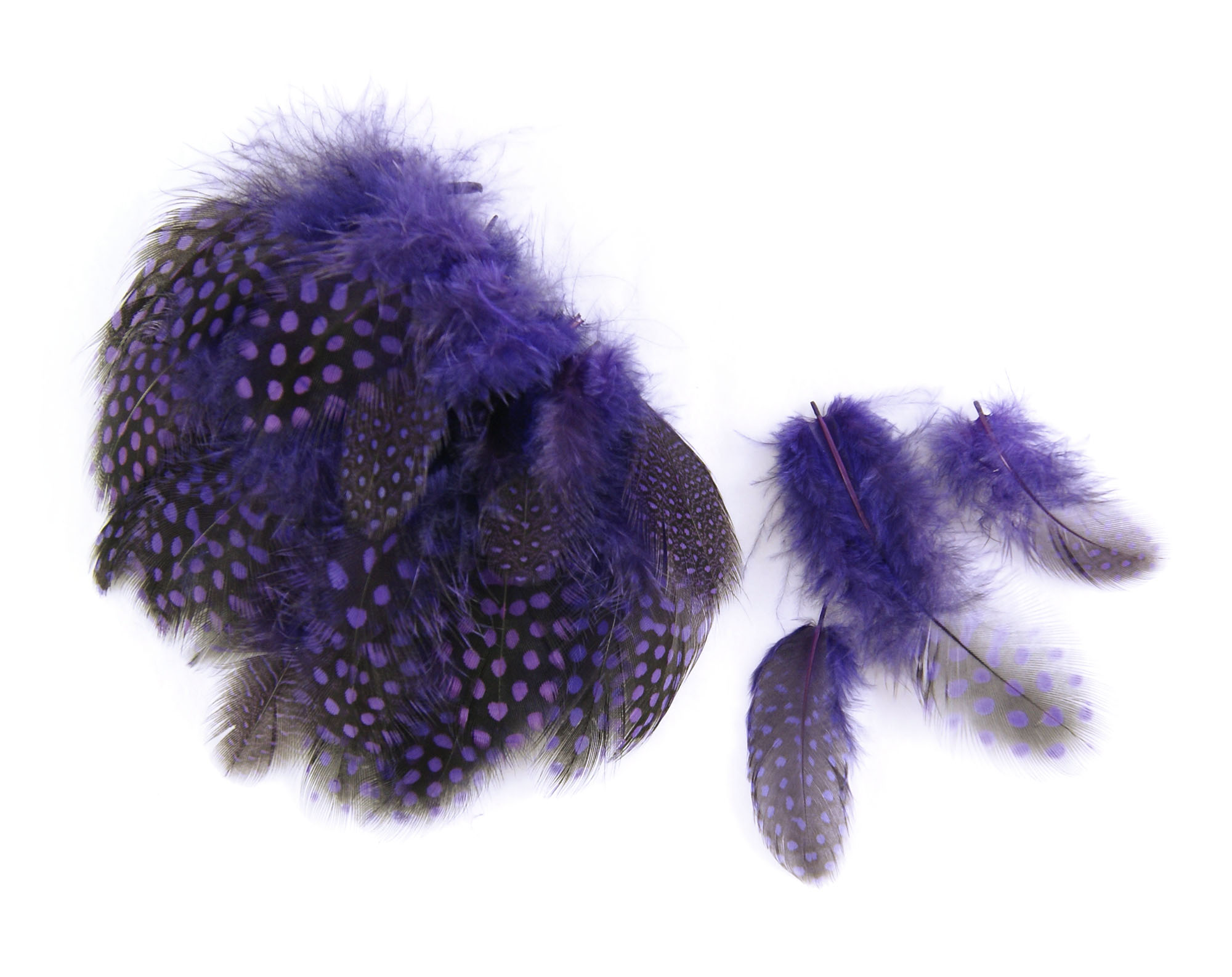 plume de pintade violet iris