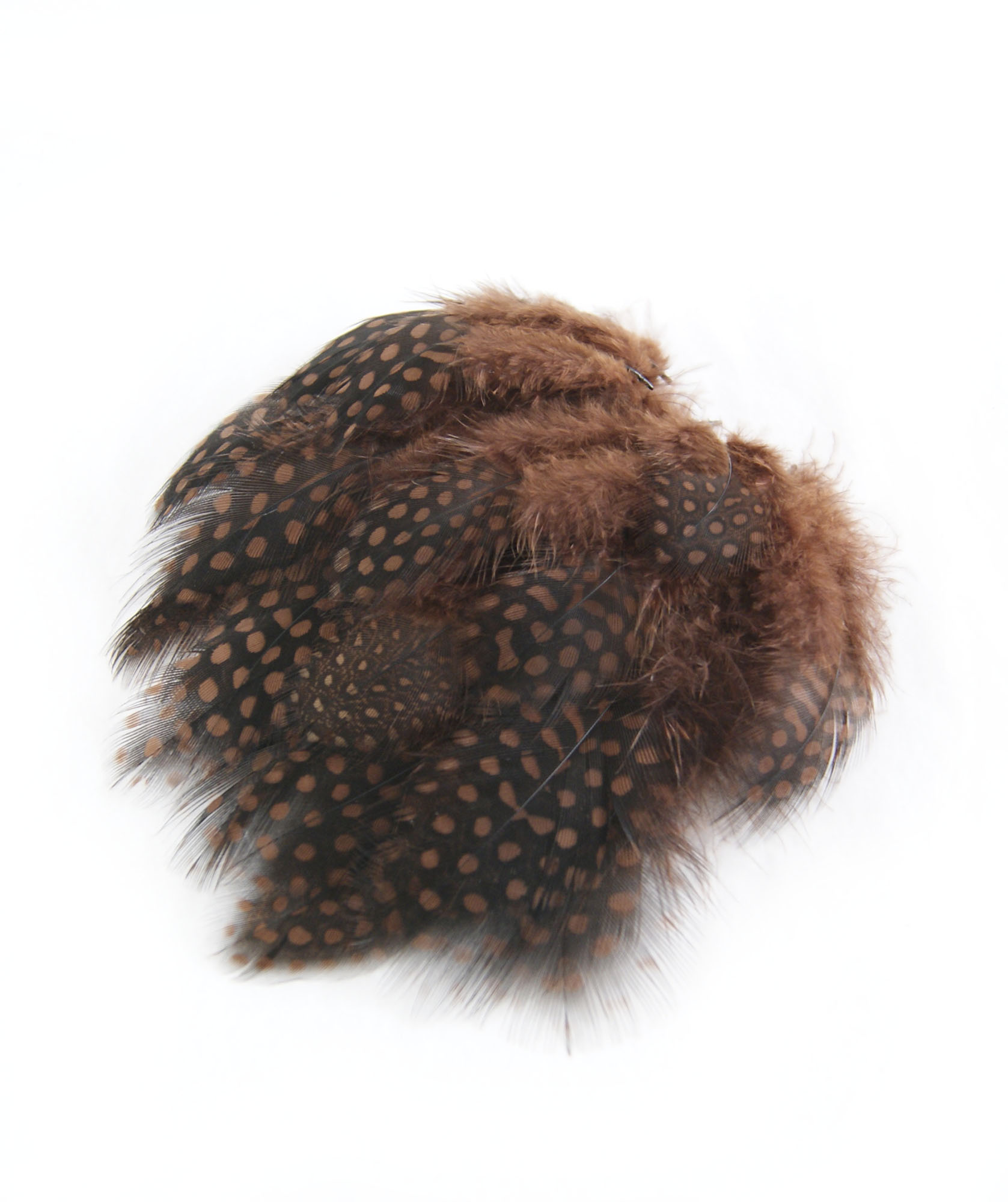 plume de pintade caramel de qualite