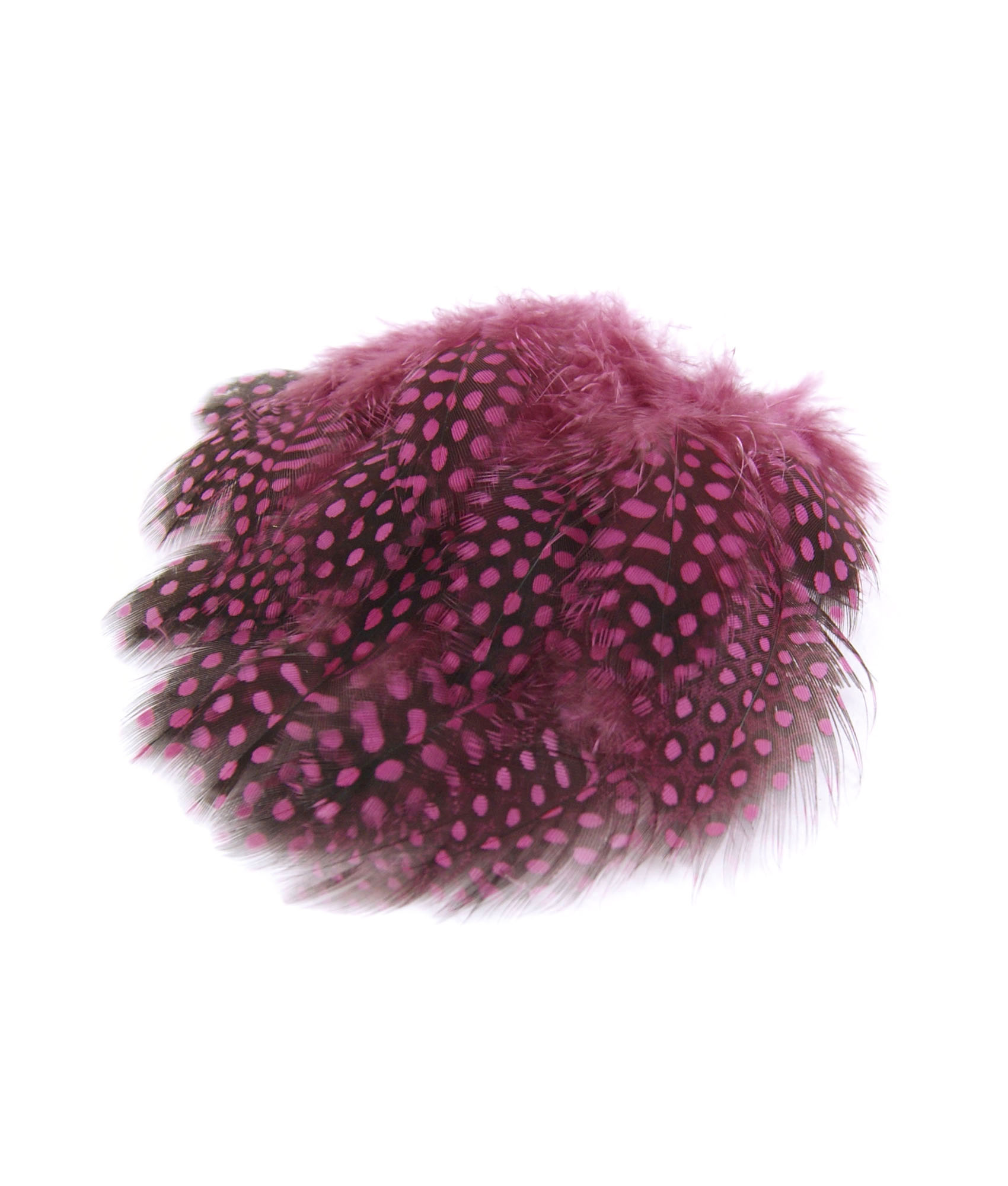 plume de pintade hot pink de qualite