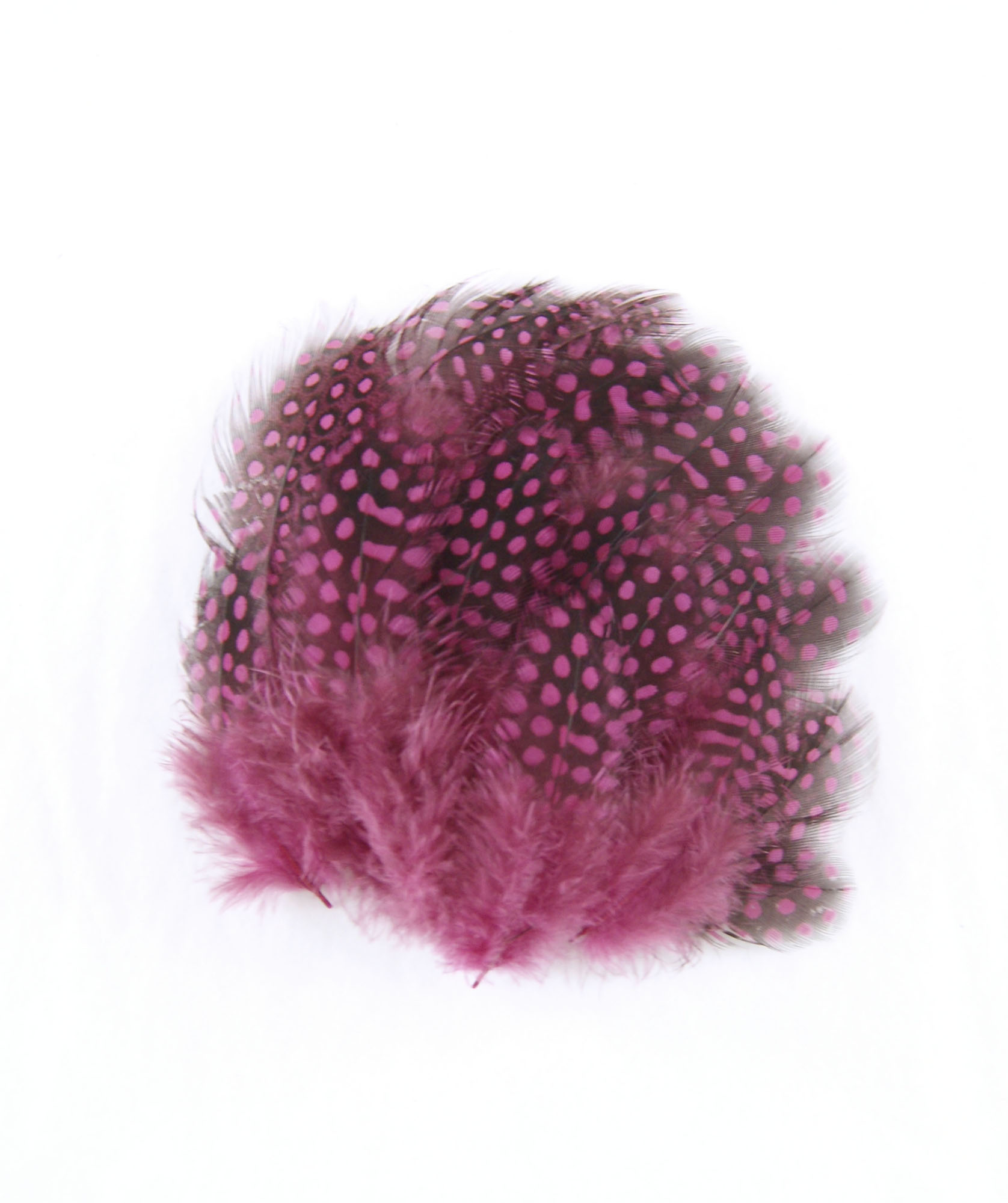 plume de pintade legere hot pink