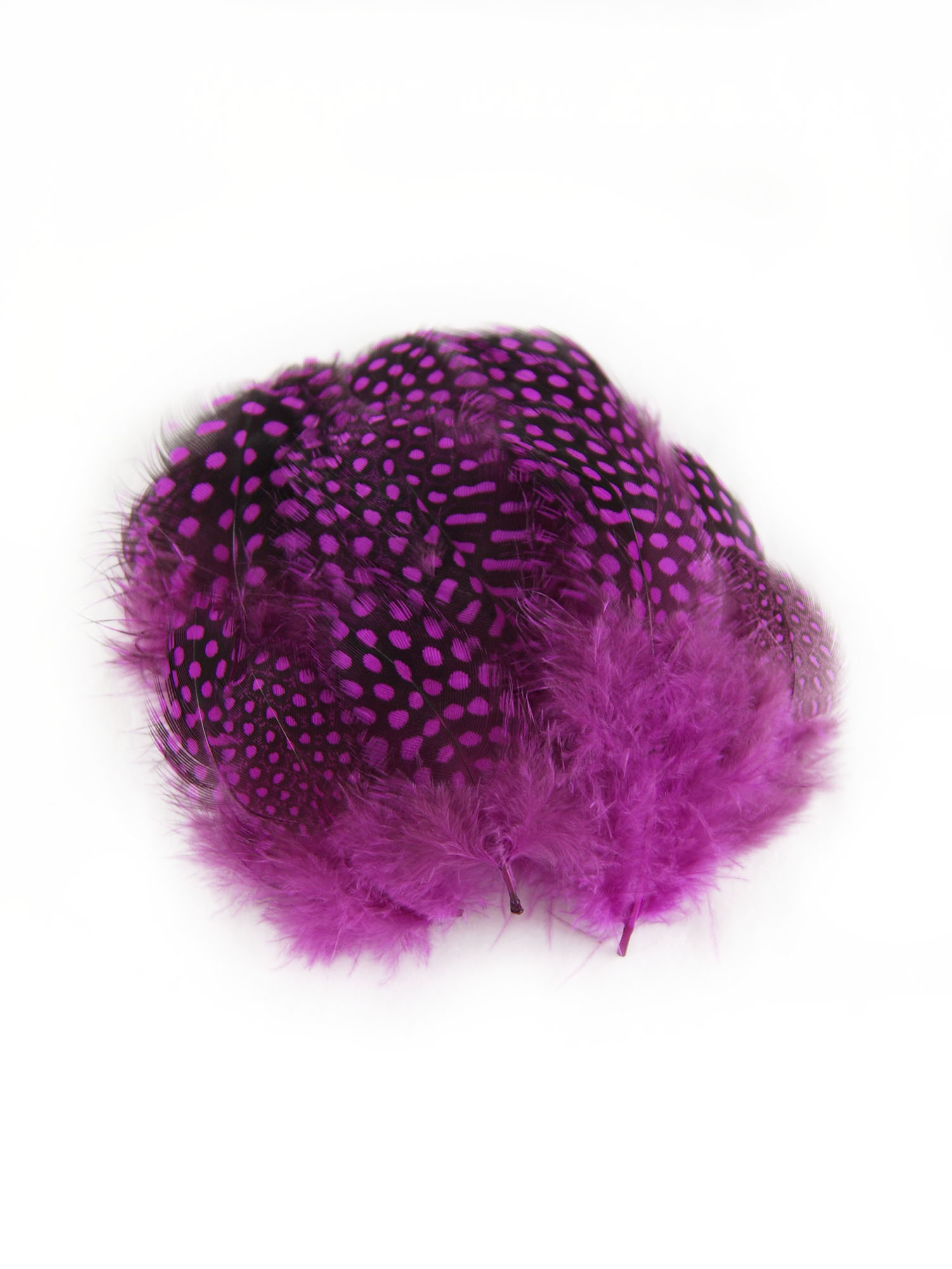 plume de pintade legere fushia