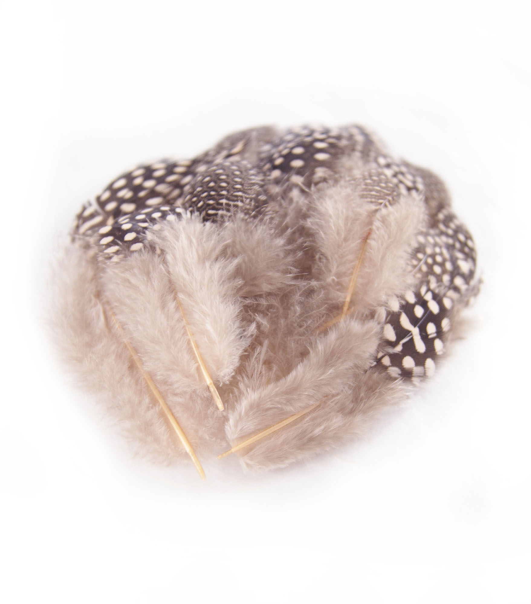 plume de pintade legere rose poudre