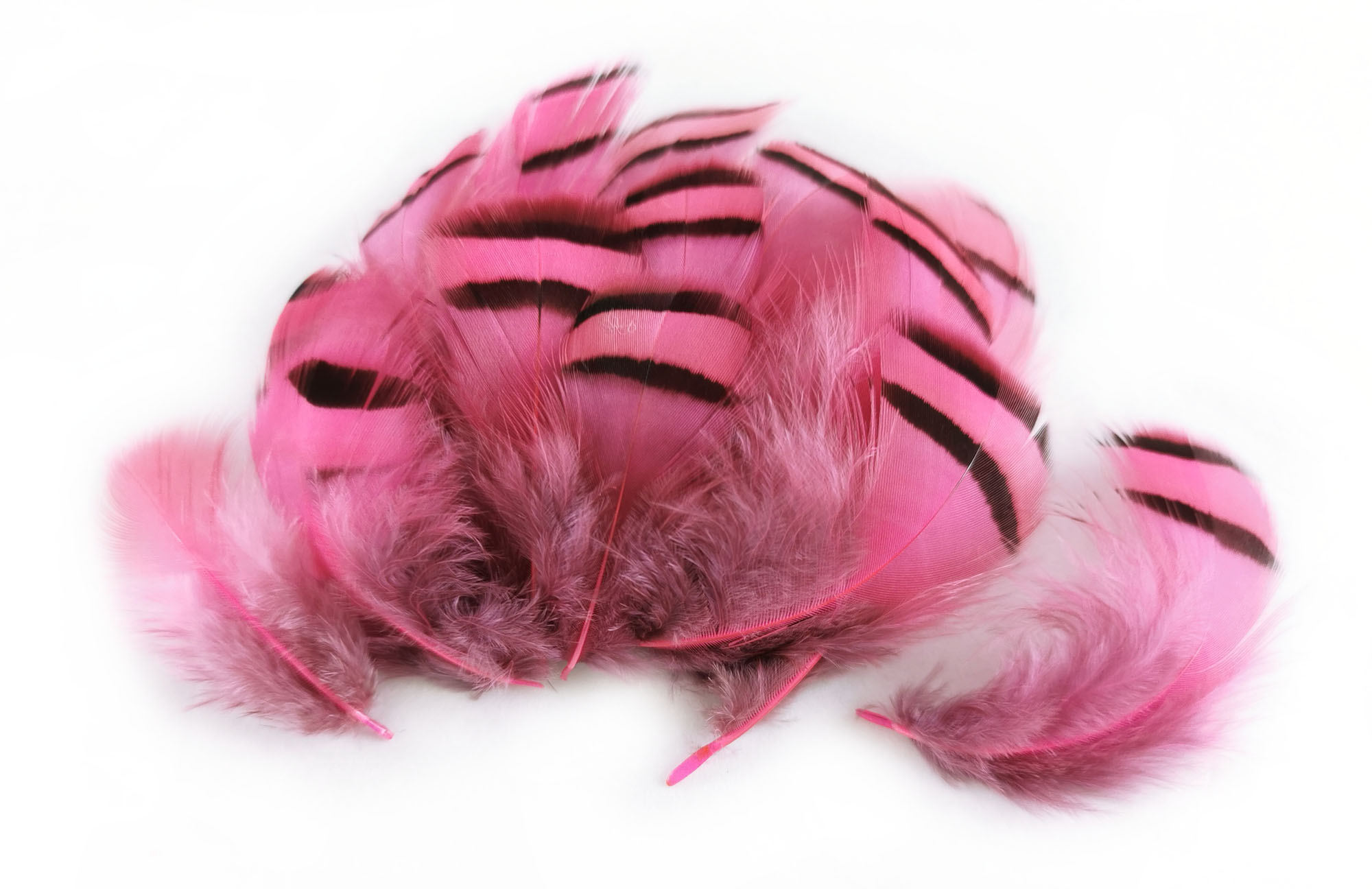 plume de perdrix rose de qualite