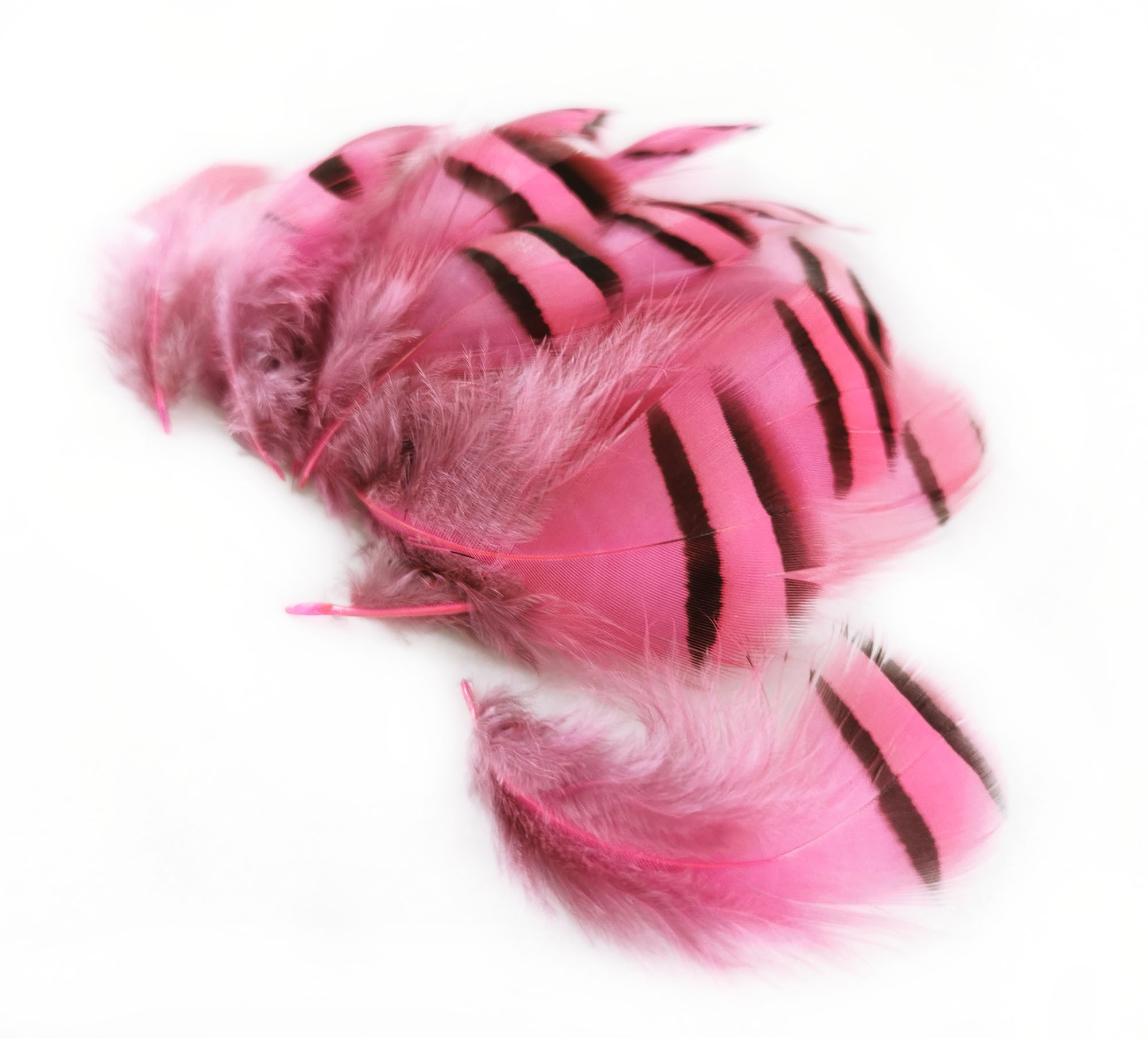 plume de perdri rose