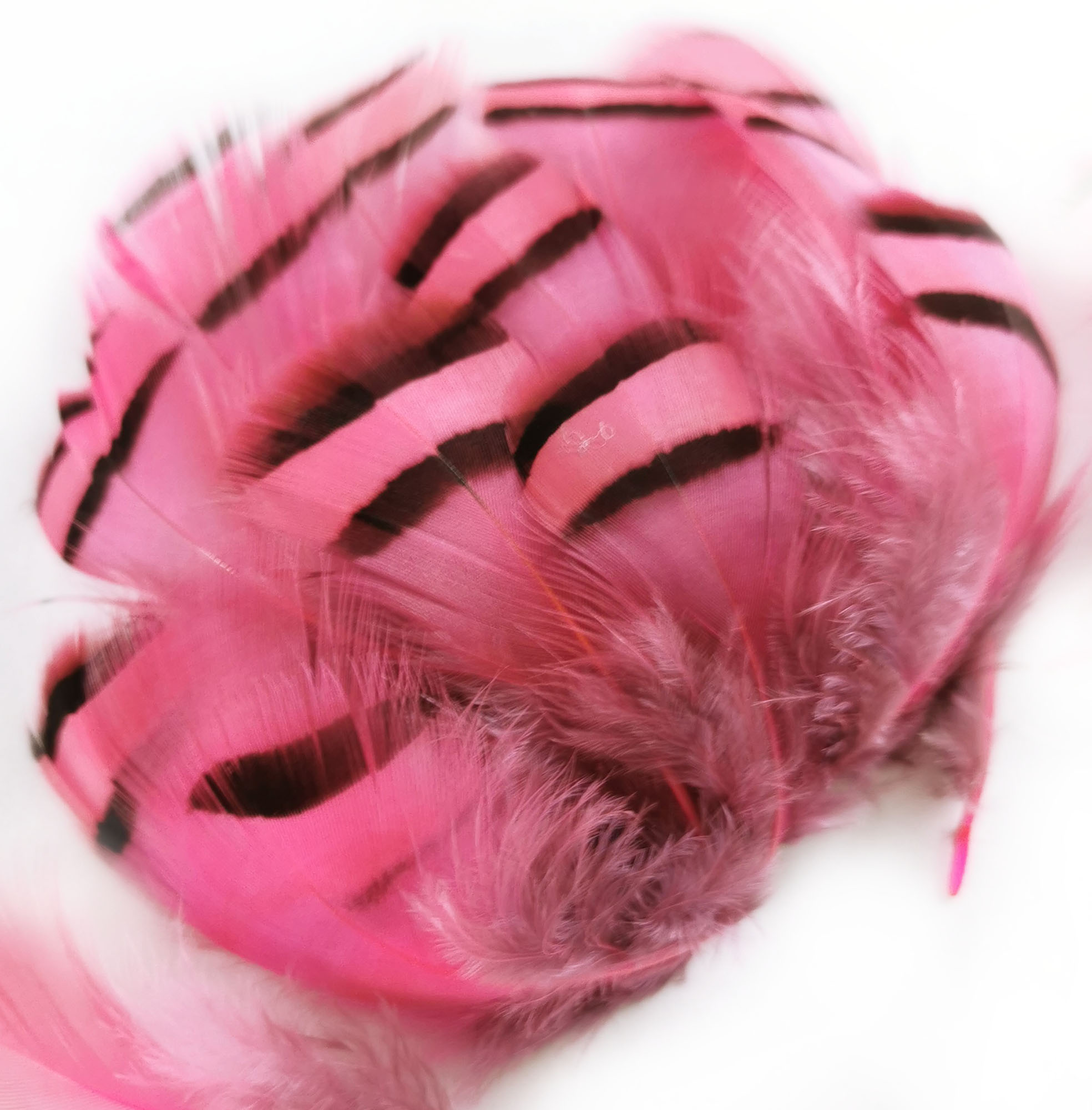 plume de perdrix rose