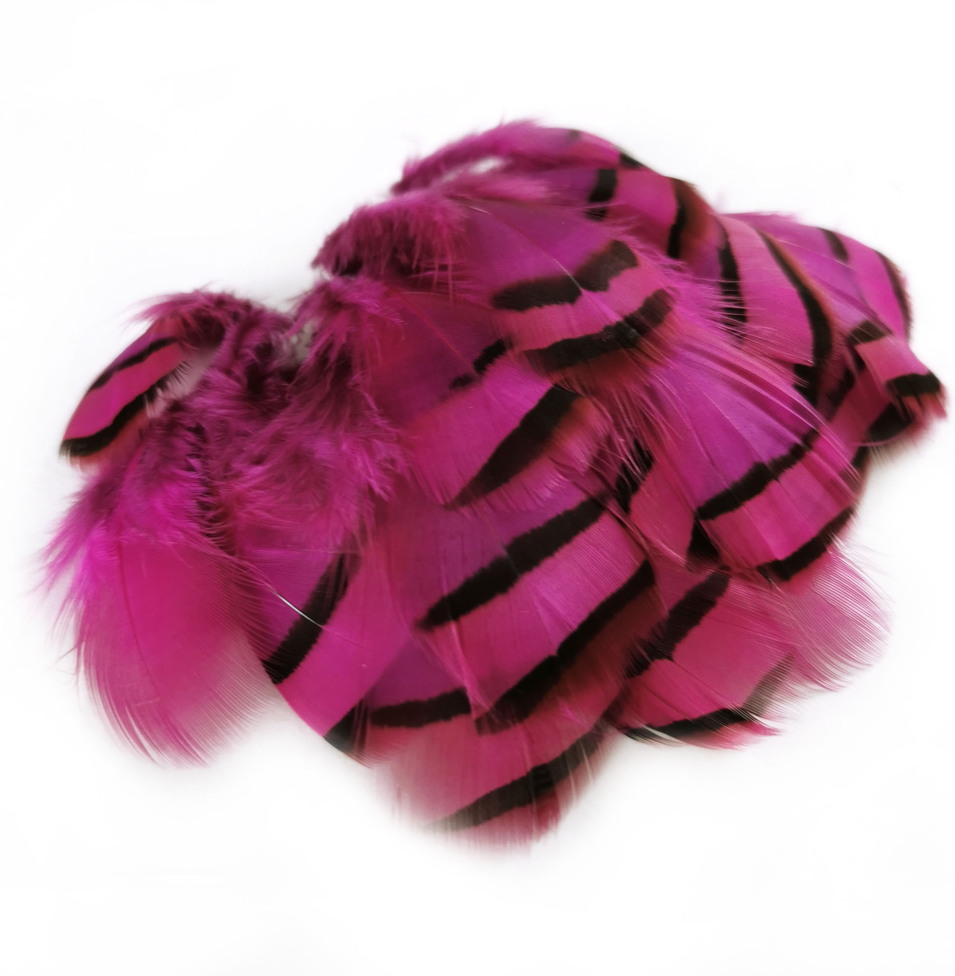plume de perdri rose fushia