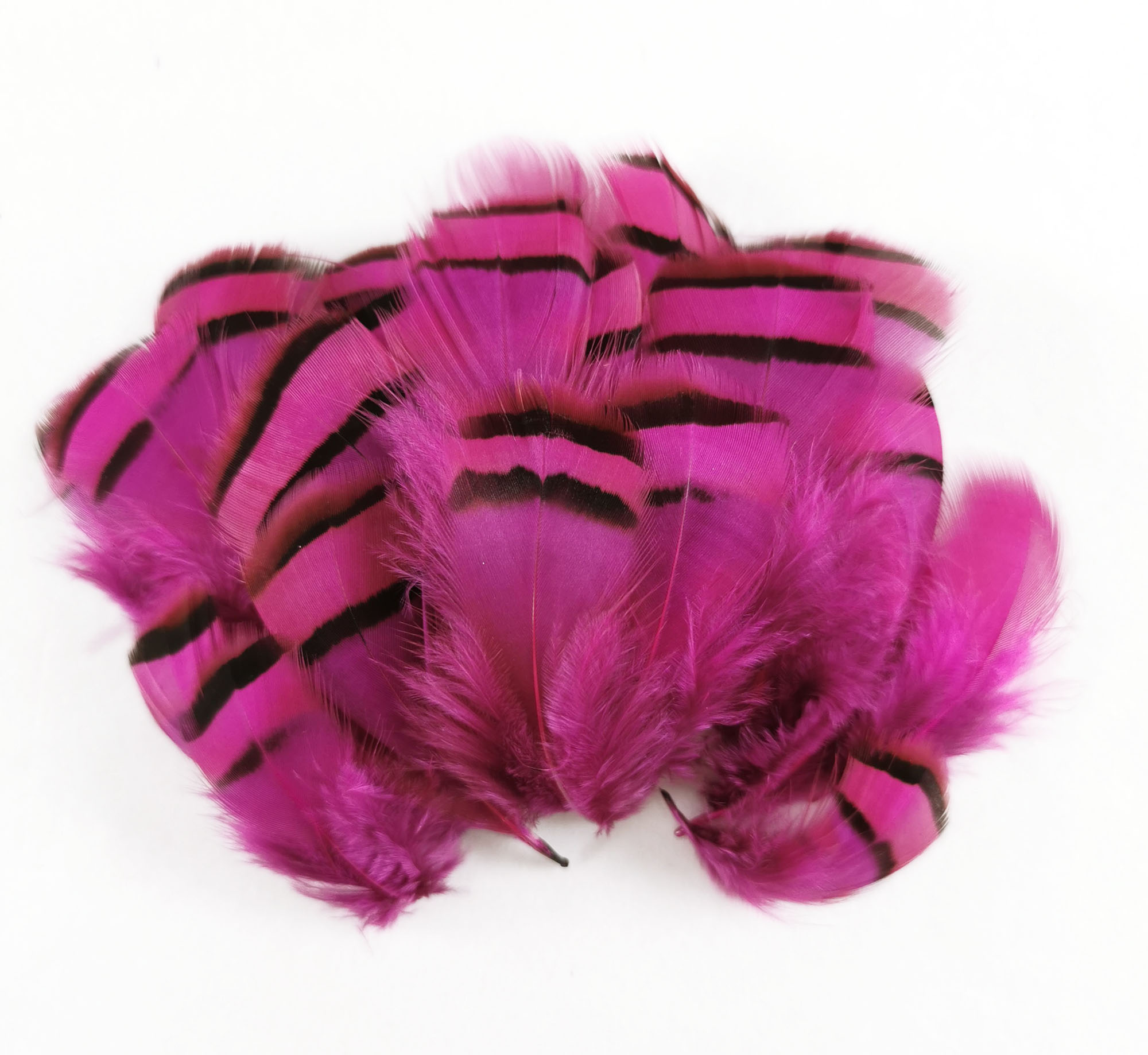 plume de perdrix rose fushia