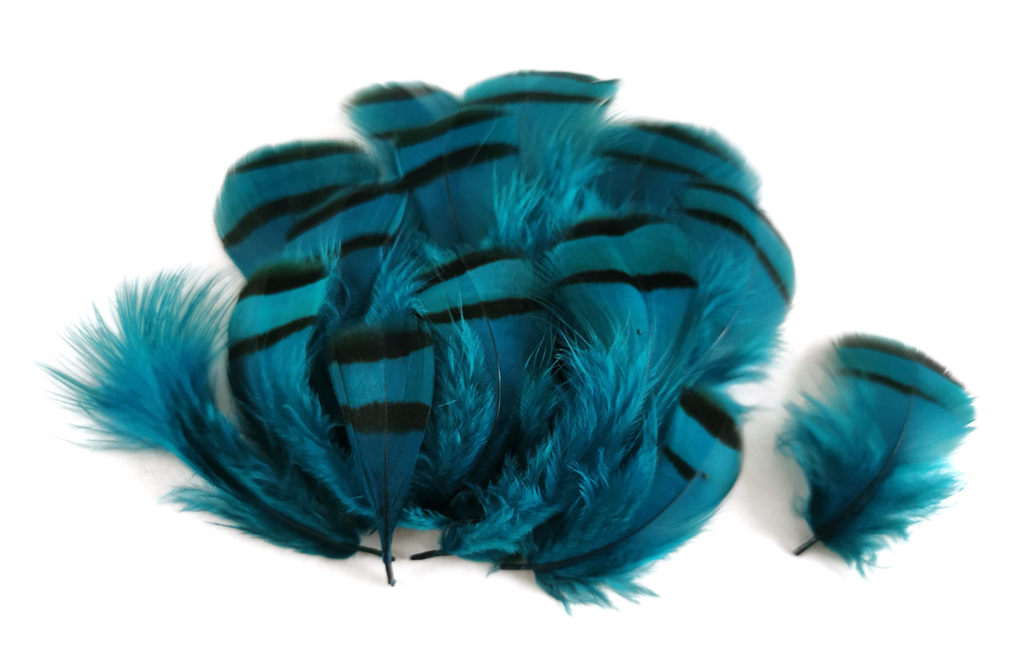 plume de perdrix petrole de qualite