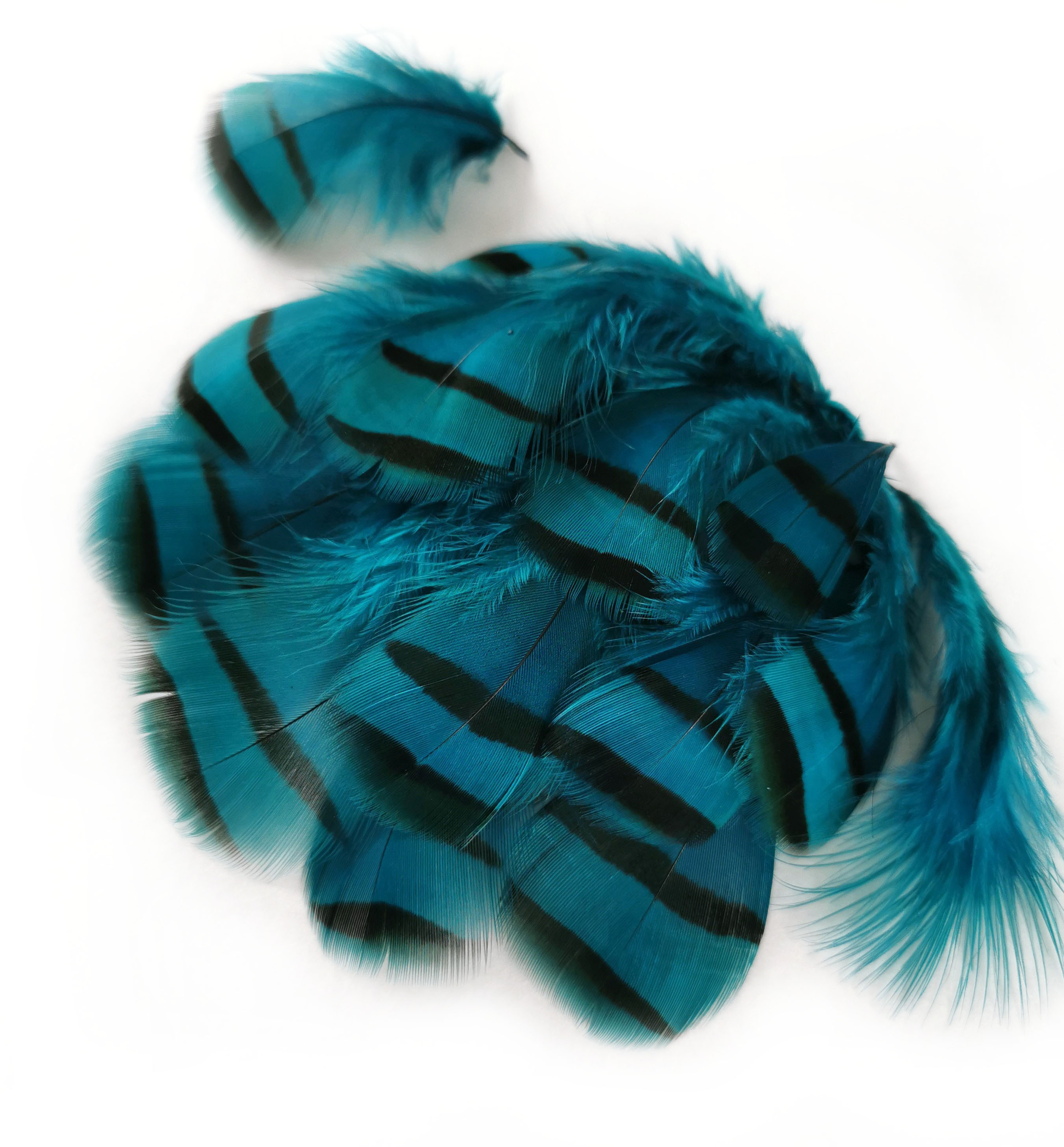 plume de perdri petrole