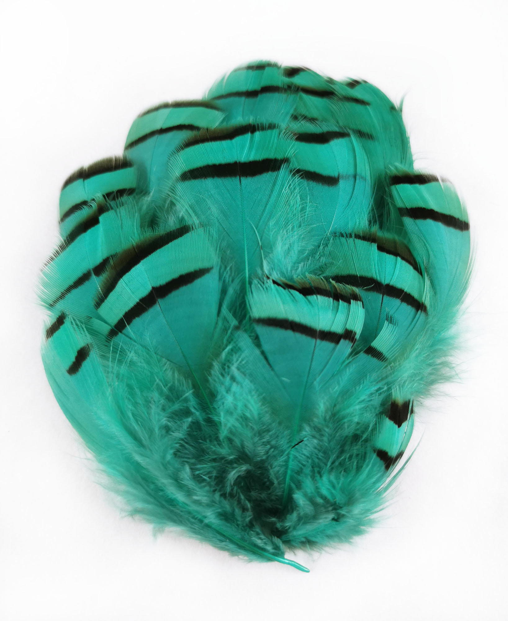 plume de perdri vert emeraude