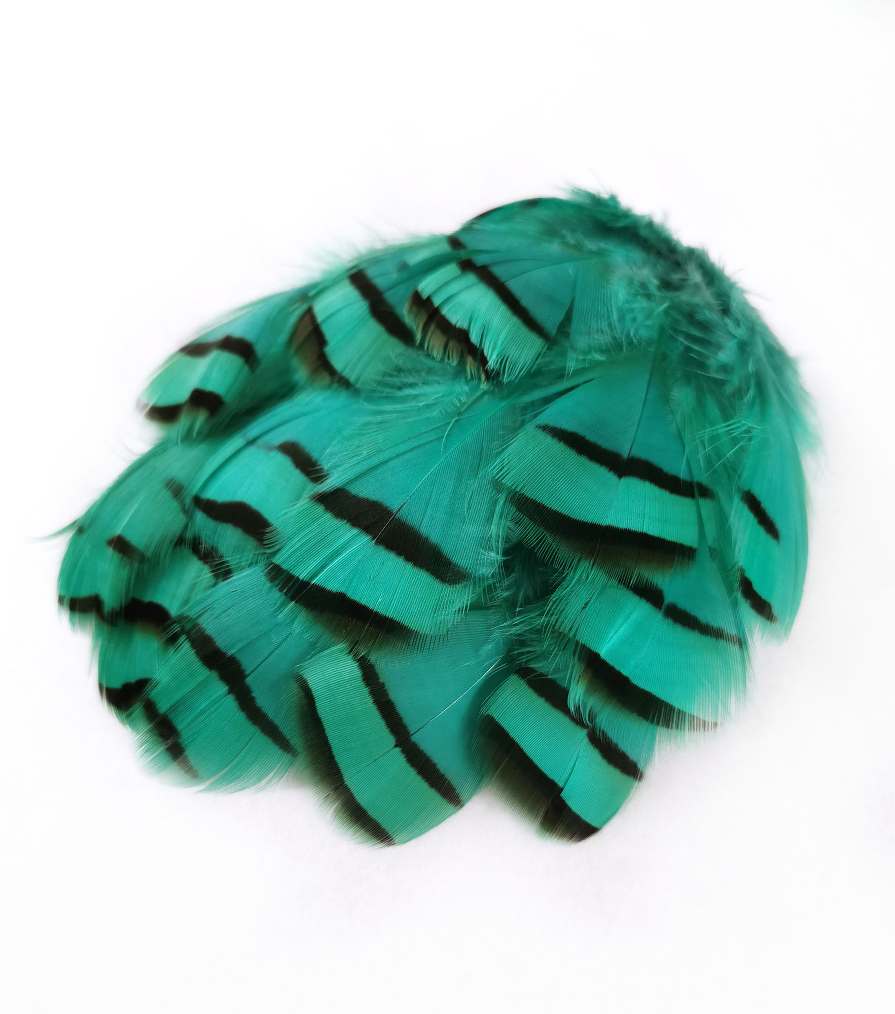 plume de perdrix vert emeraude