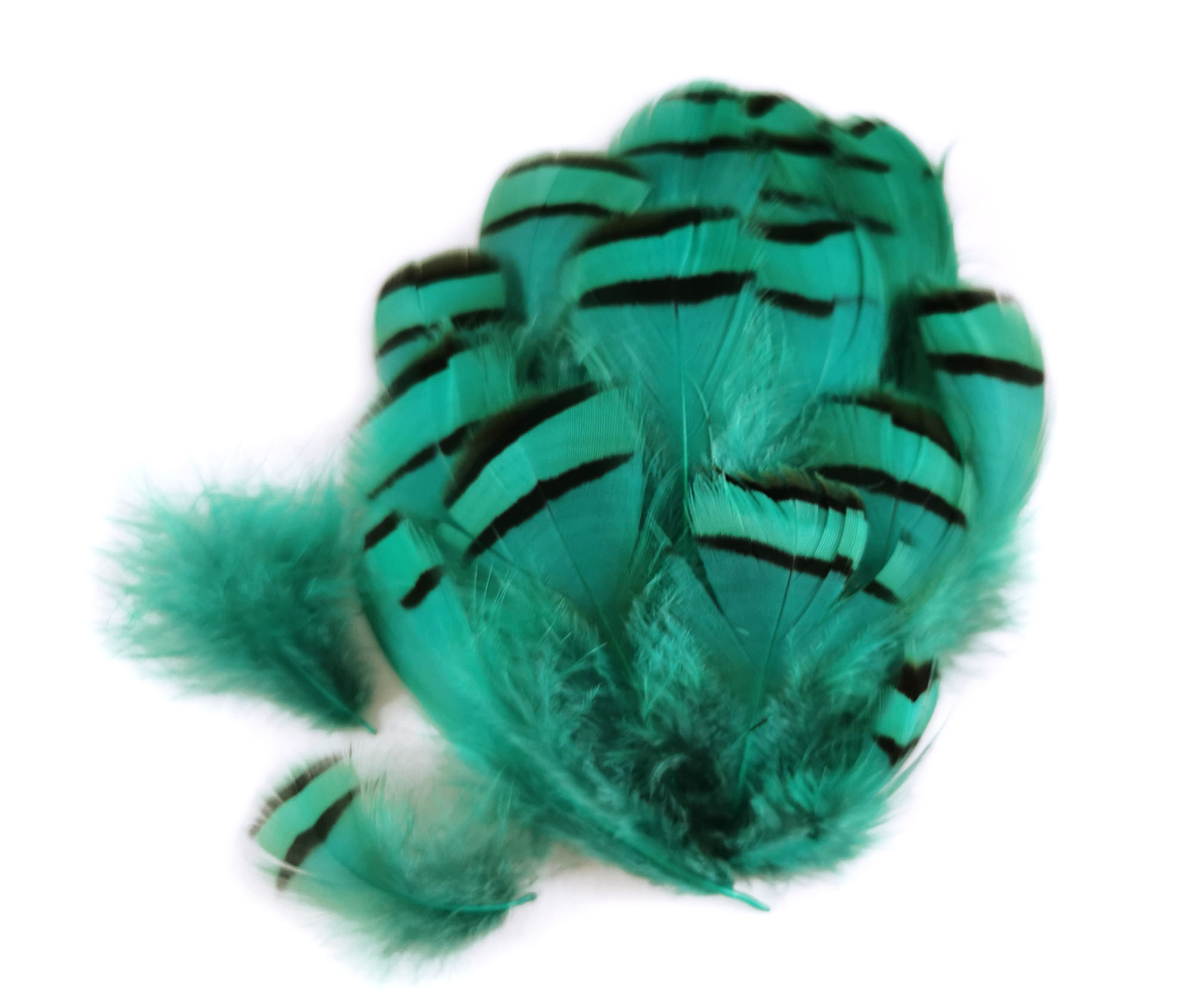 plume de perdrix emeraude