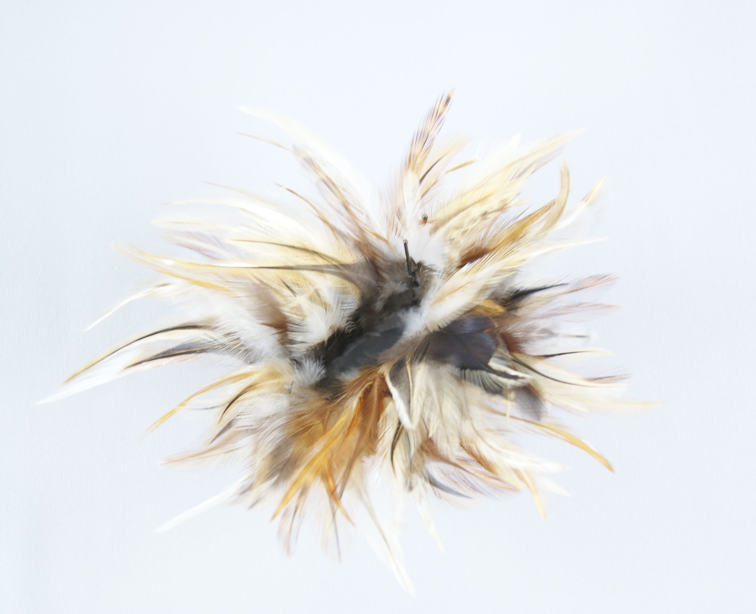 frange plume croupe de coq mixe naturel