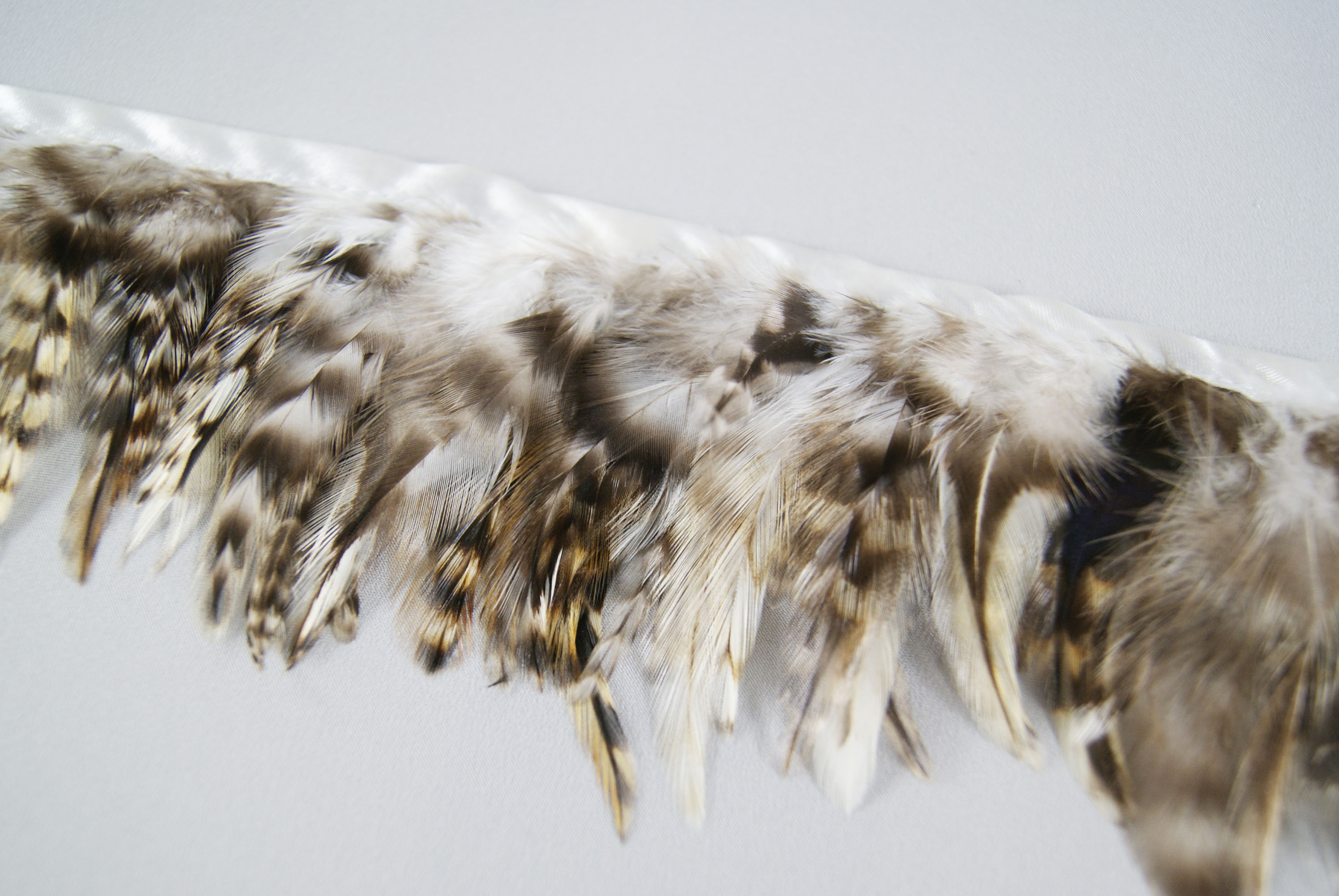Galon plume croupe de coq naturel gris