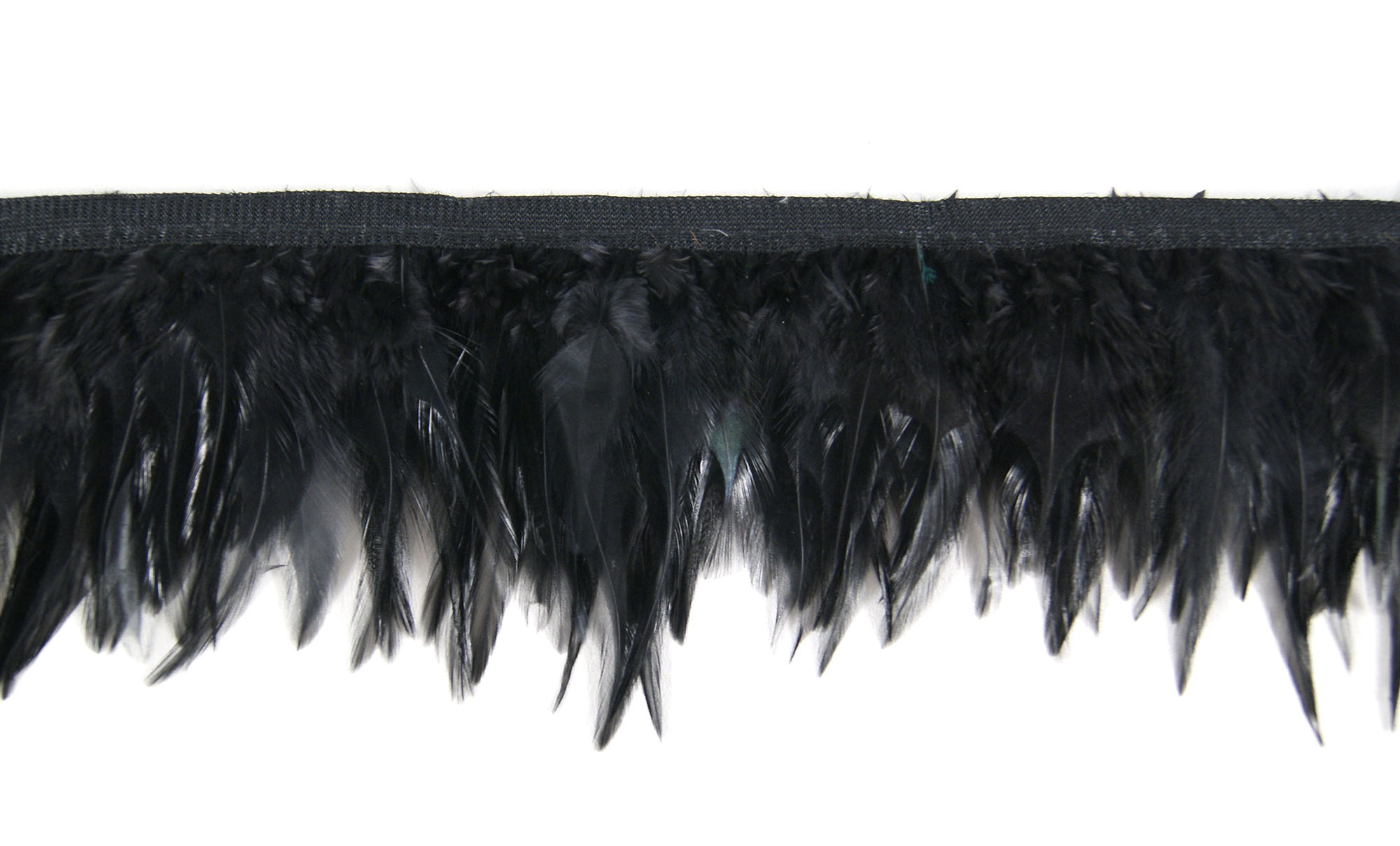 Galon plume croupe de coq jolie noir
