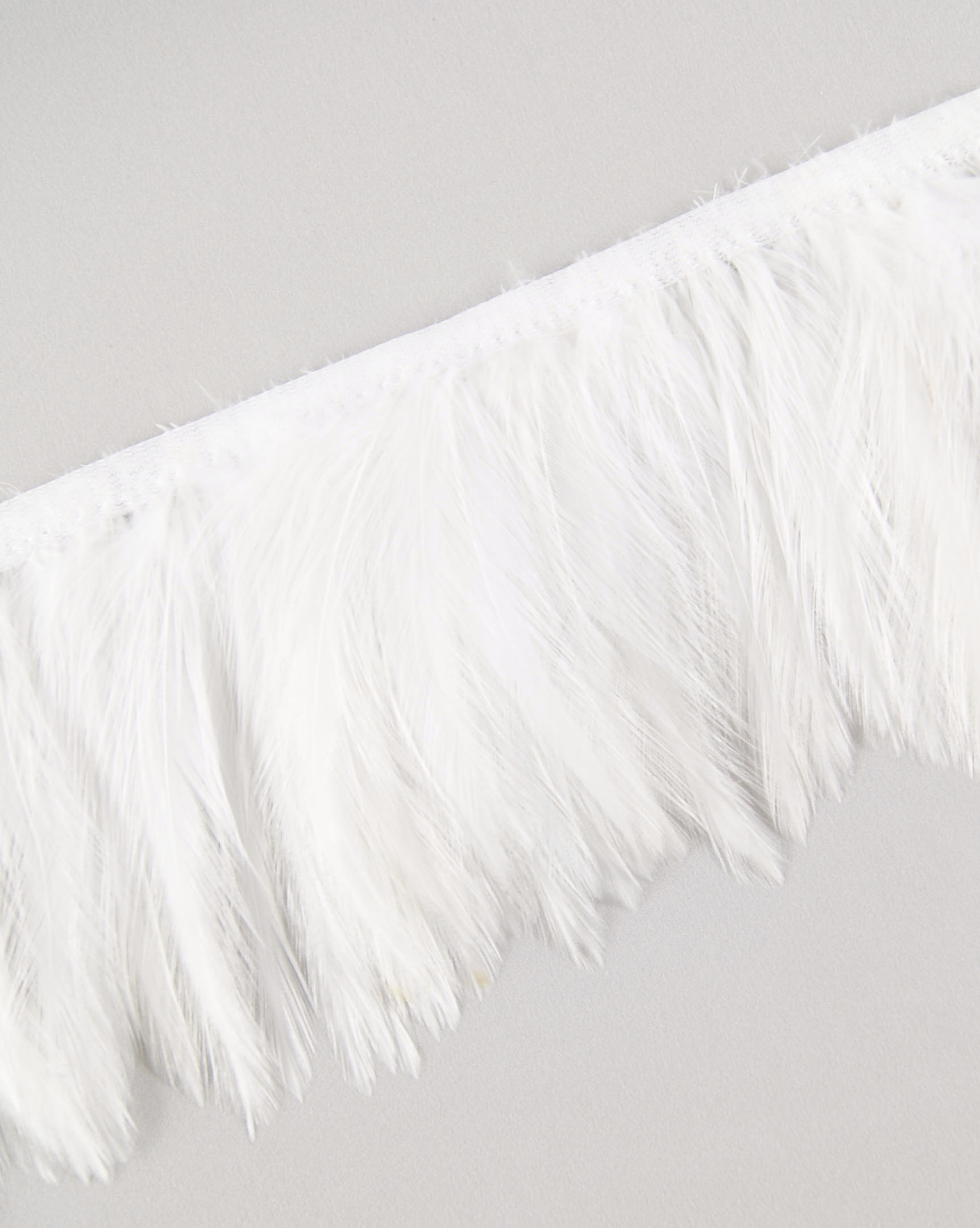 frange plume de cou de coq blanc de qualite