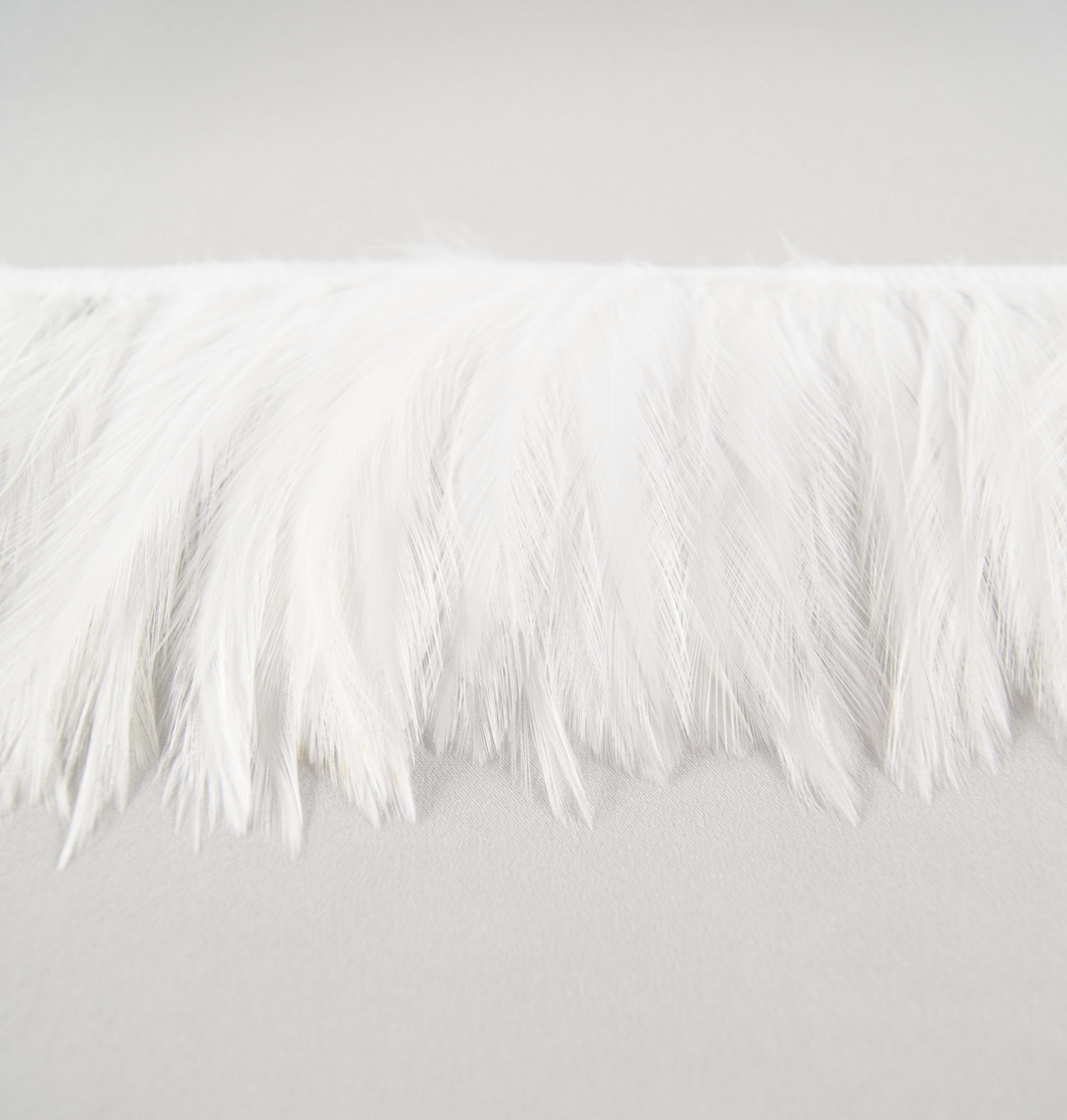 galon plume de cou de coq blanc