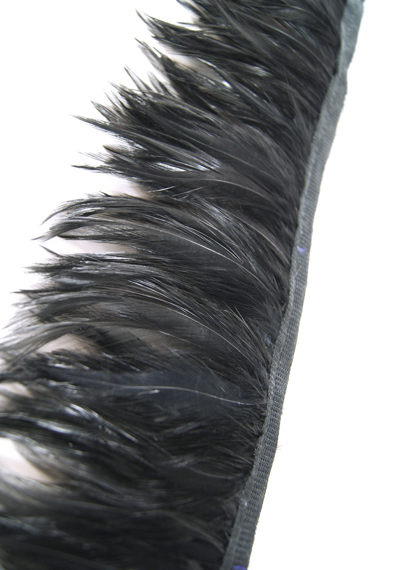 galon plume de cou de coq noir