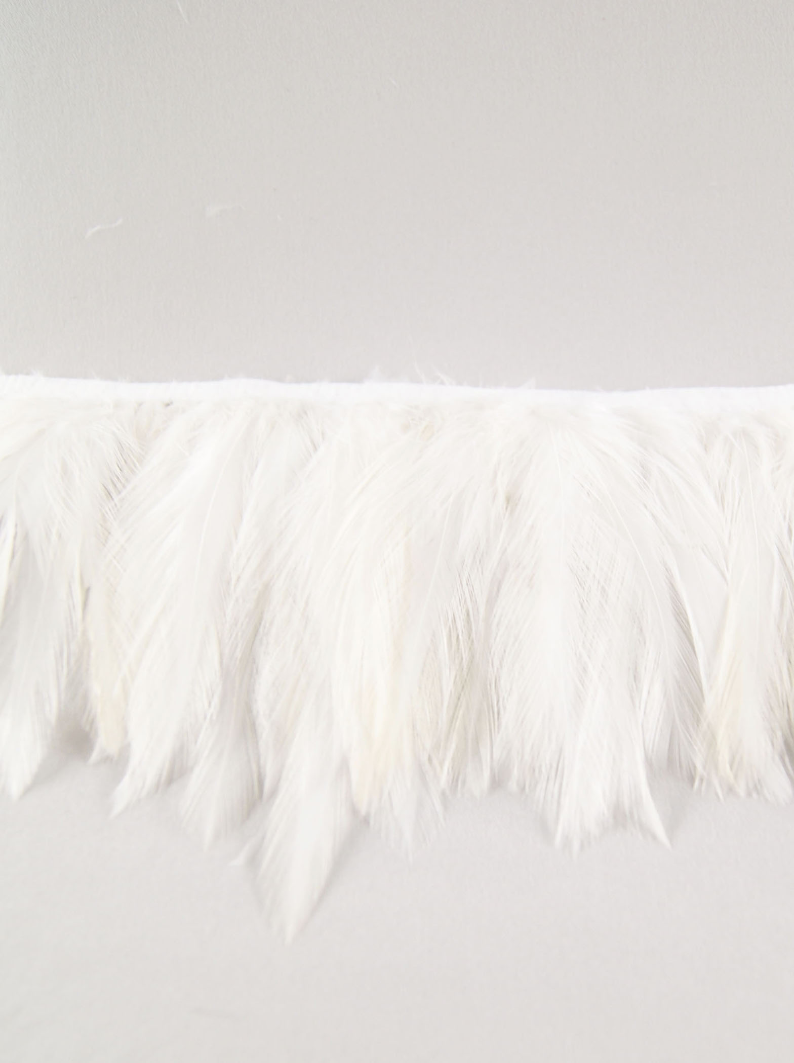 galon plume de cou de coq ecru
