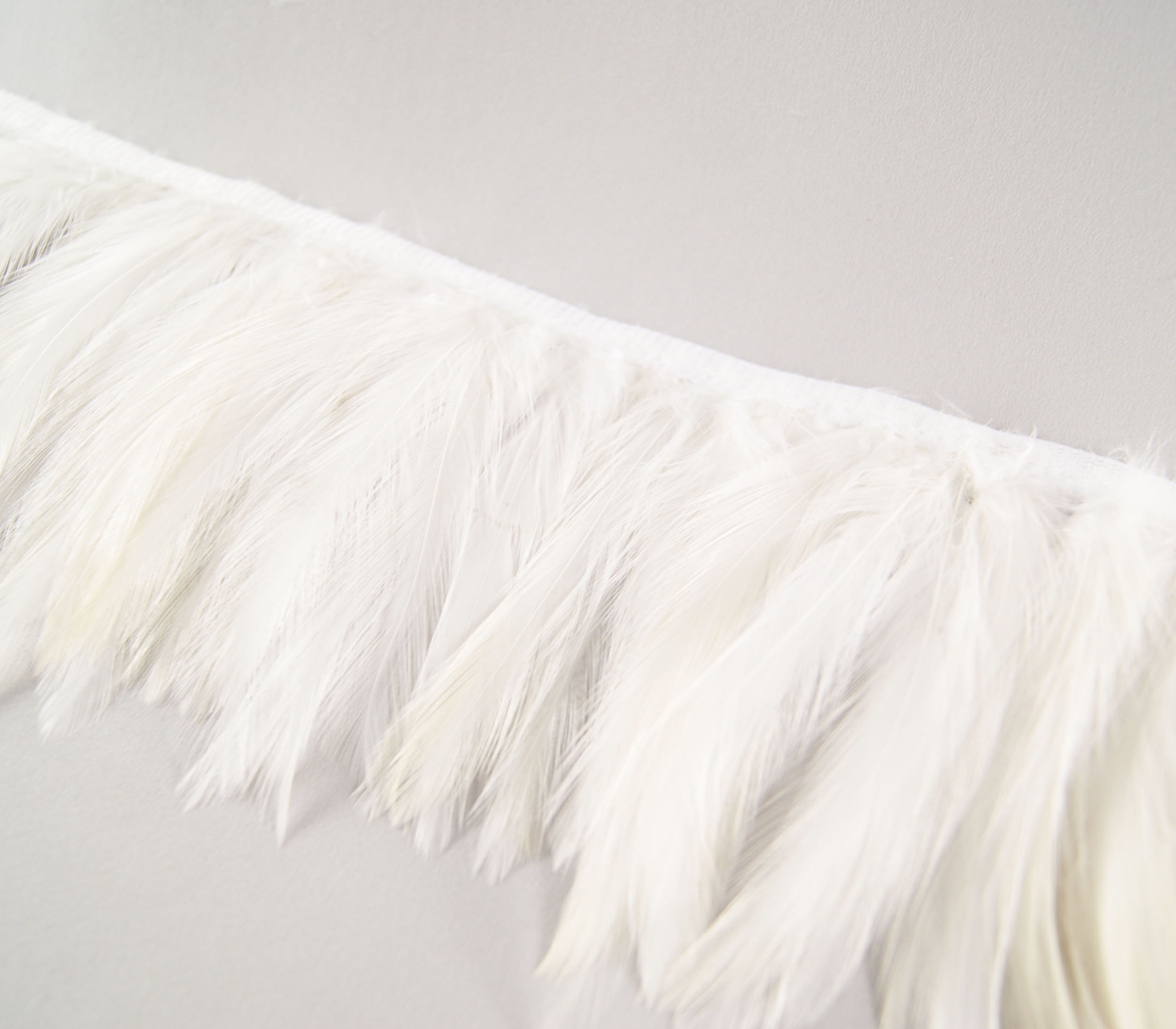 frange plume de cou de coq ivoire
