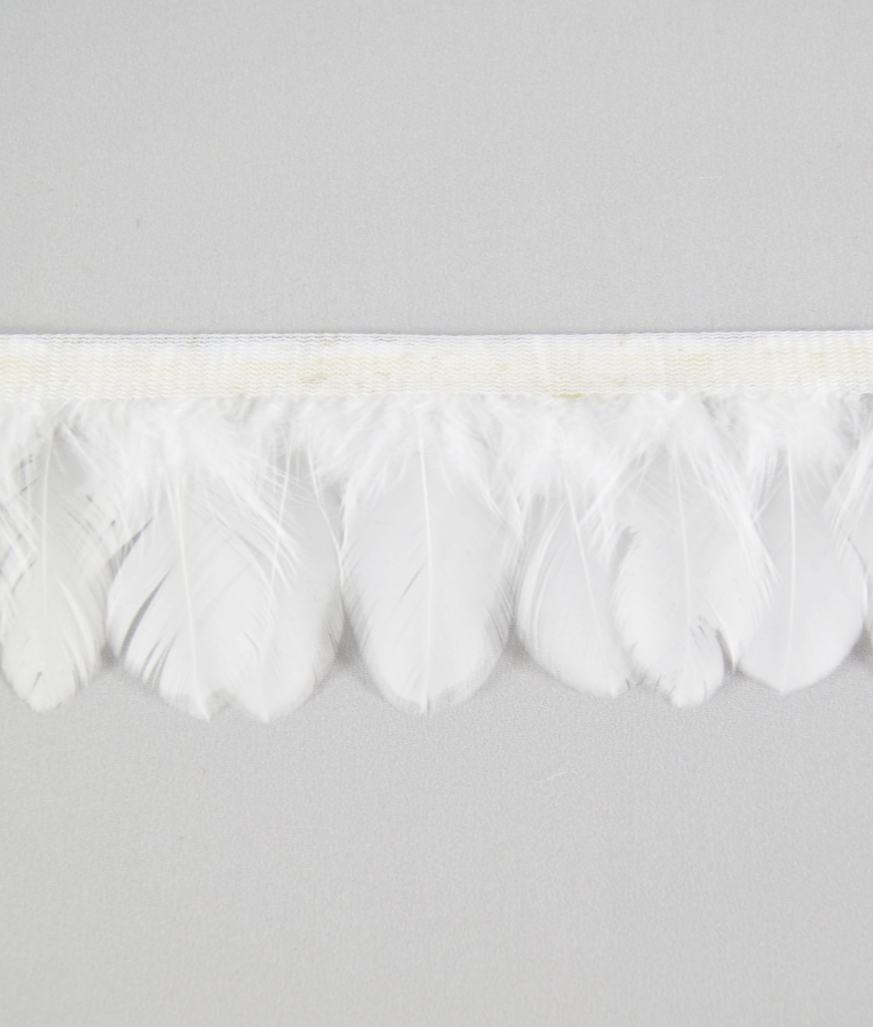 galon plume ronde de poule ecru