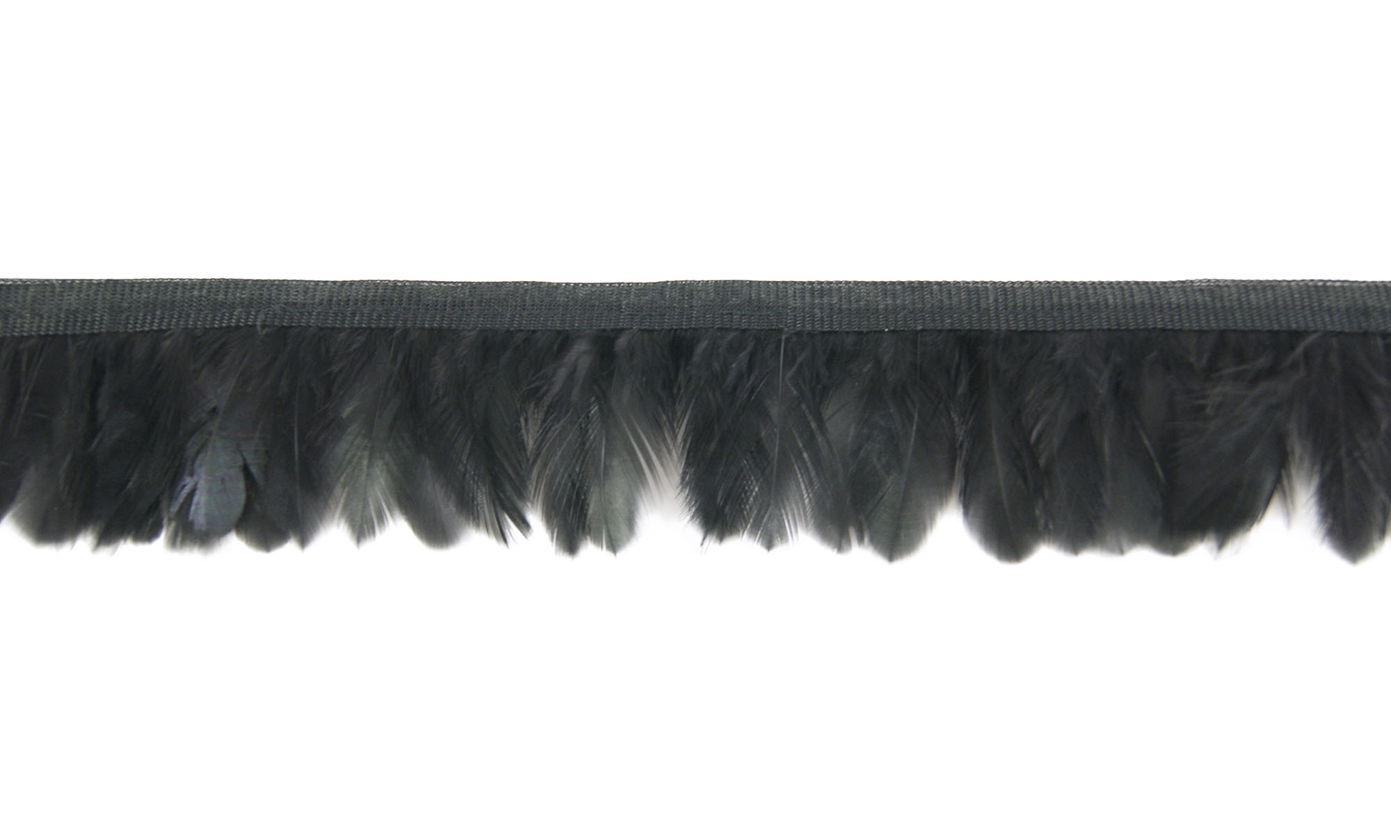 galon plume ronde de poule noir de qualite