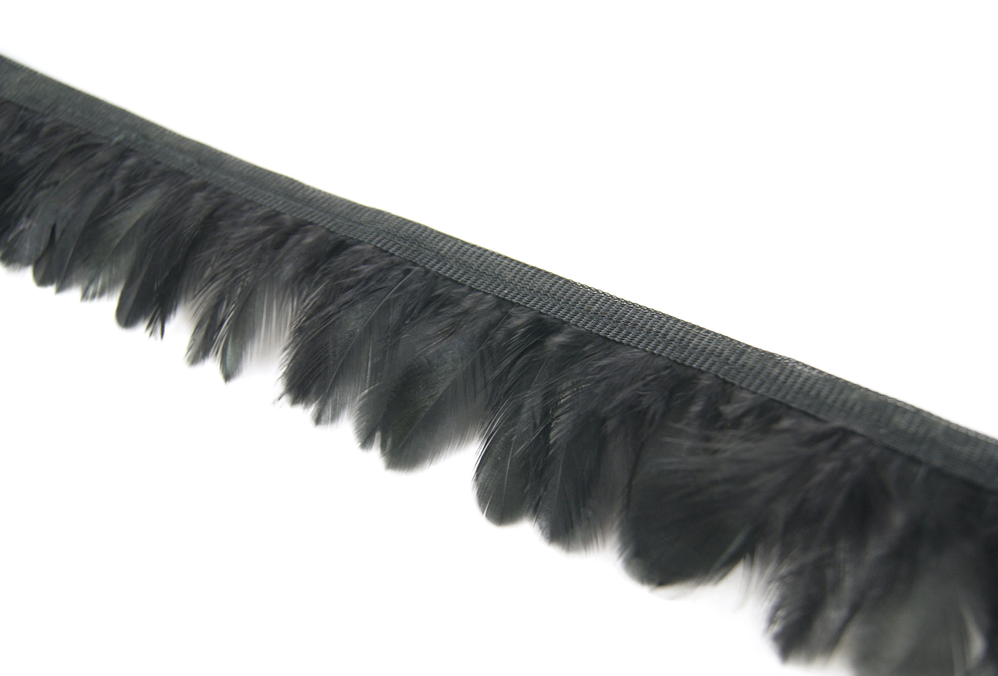 galon plume ronde de poule noir