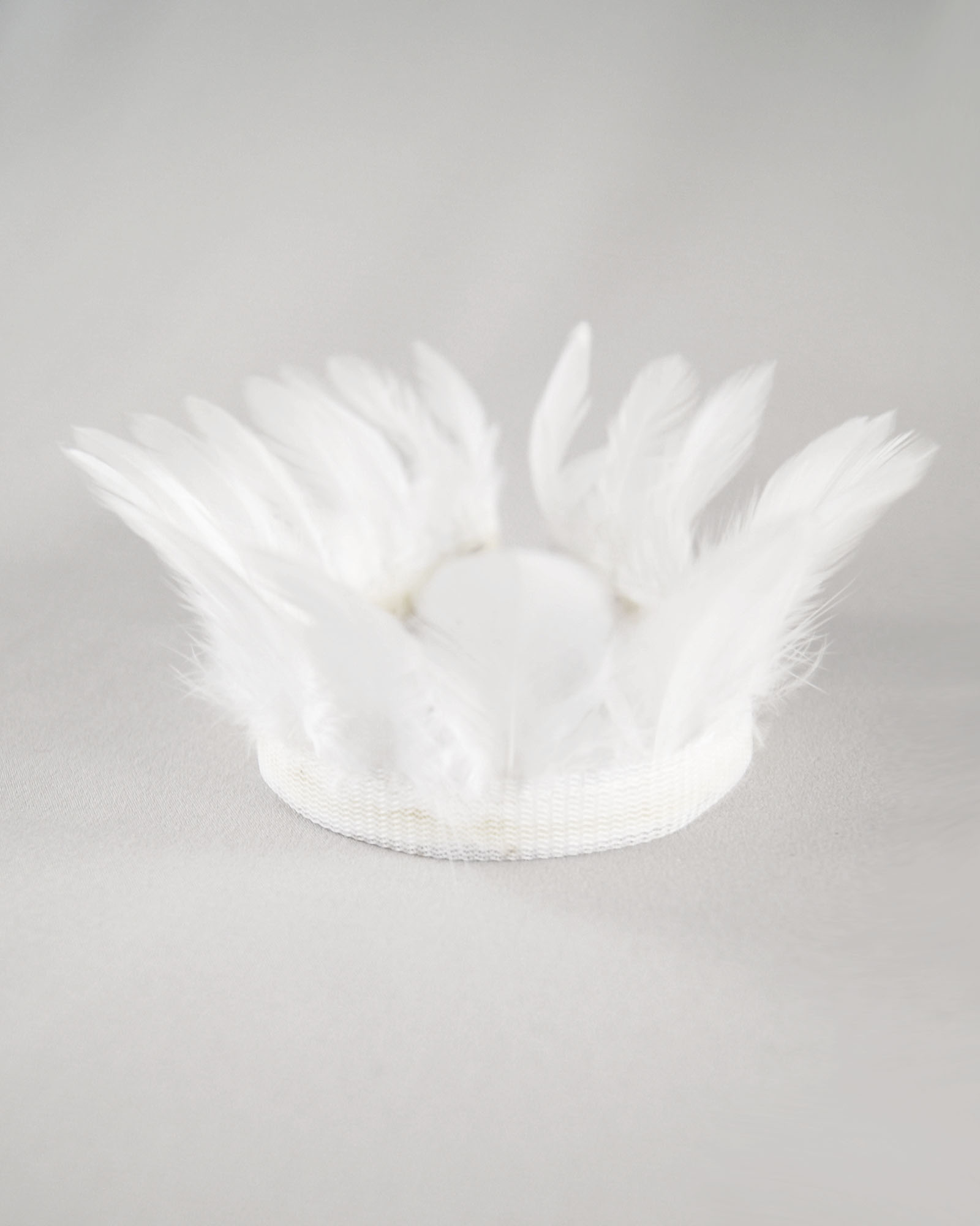 galon plume ronde de poule ivoire
