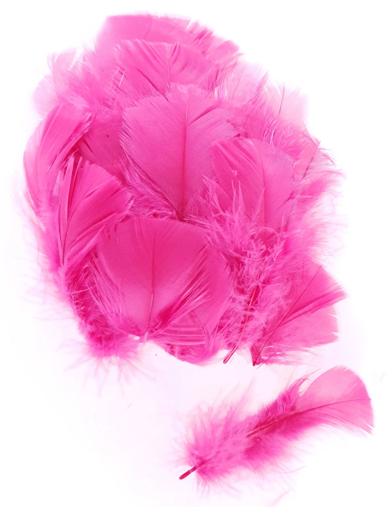 plume duveteuse dinde petite coquille rose