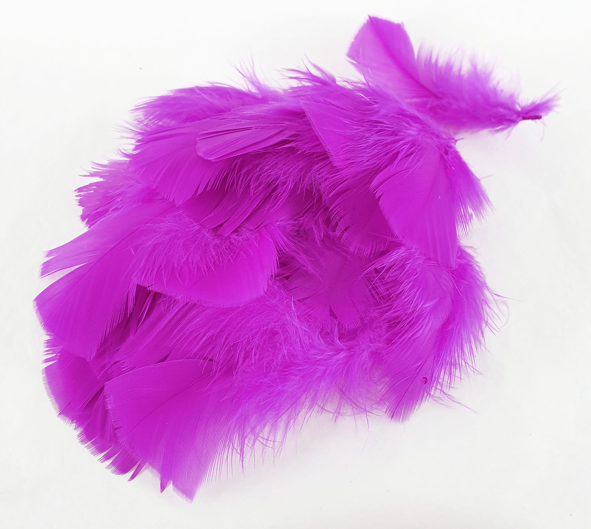 plume duveteuse dinde petite coquille rose fushia
