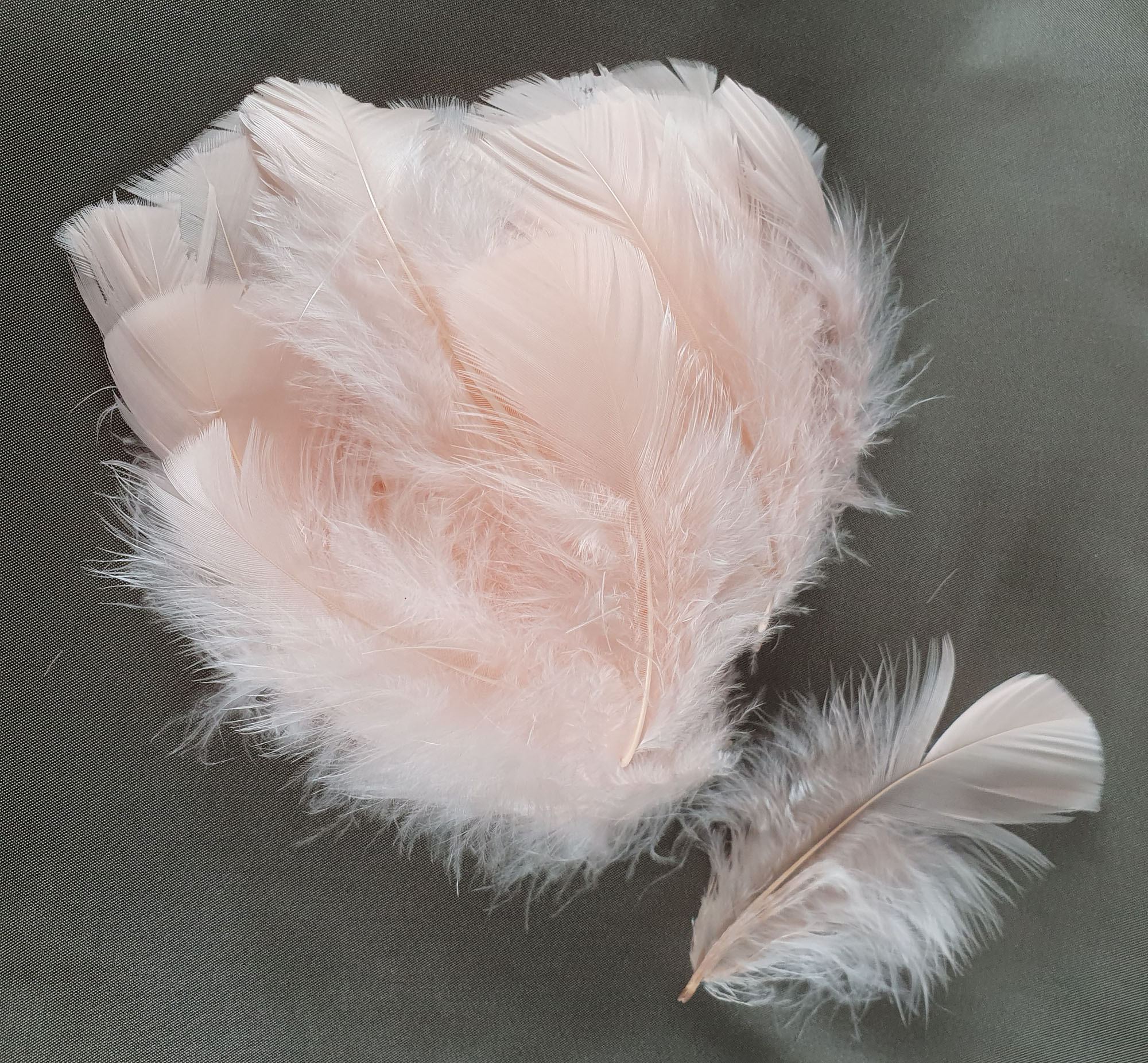 plume duveteuse dinde petite coquille rose poudre