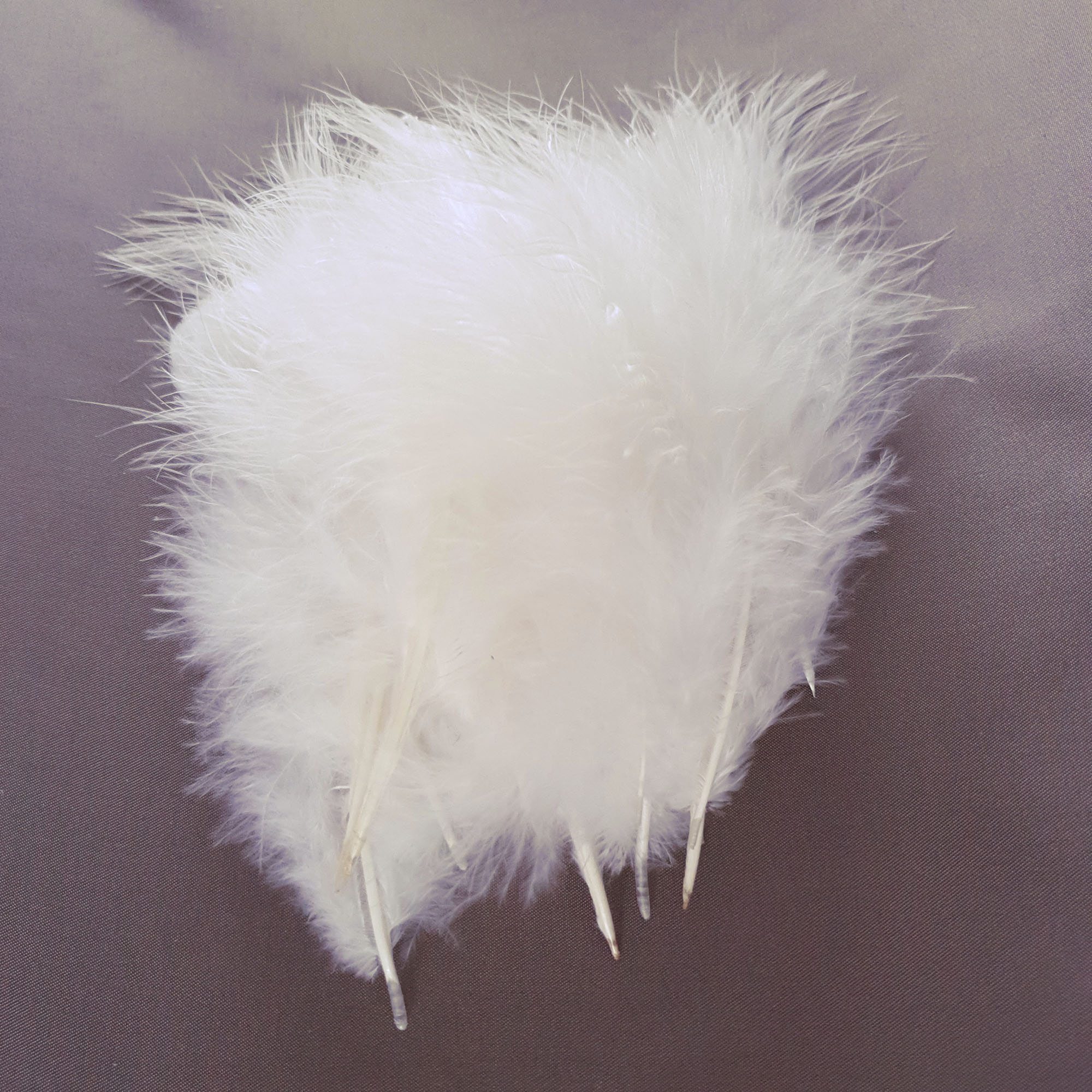 plume dinde marabout ecru