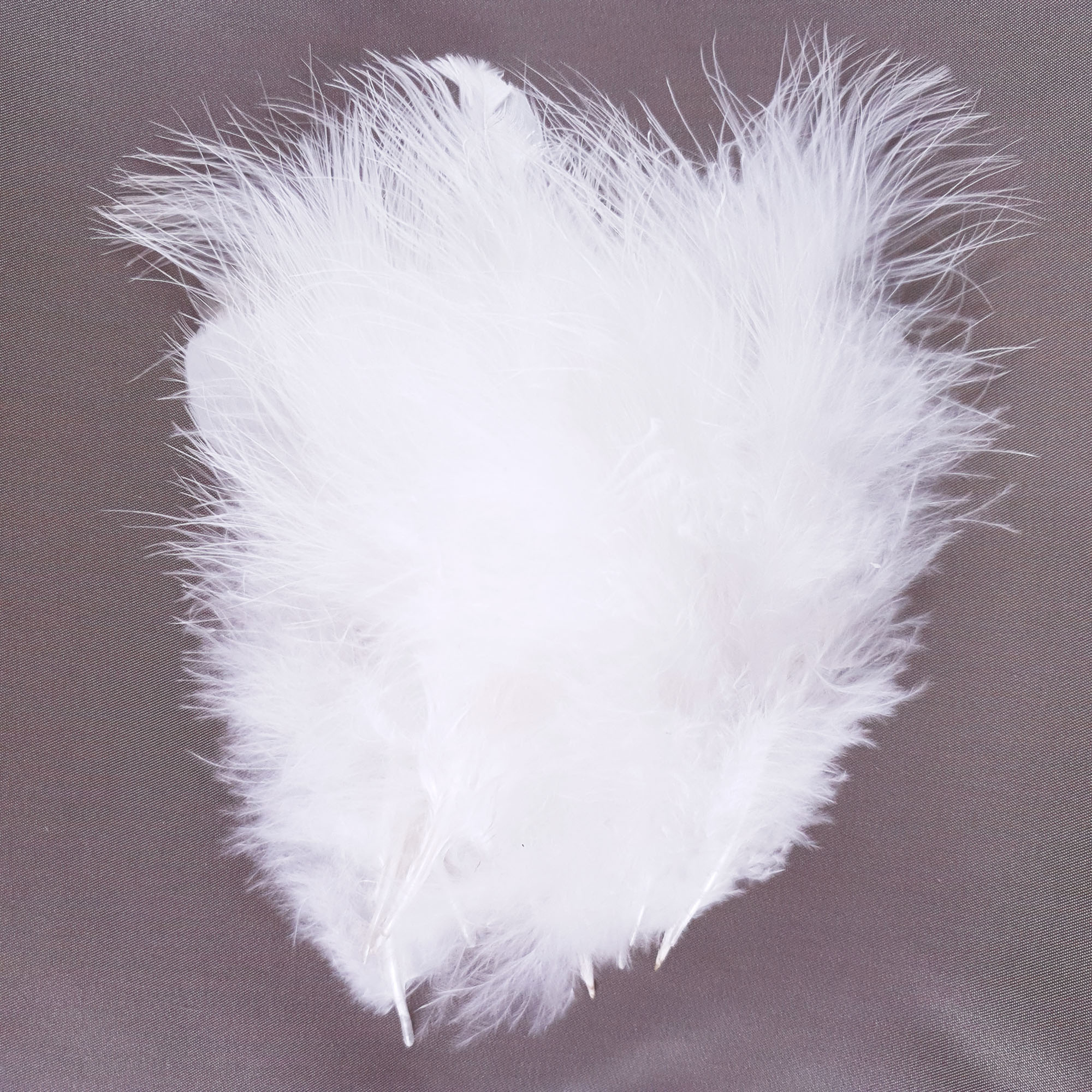 plume petite dinde marabout blanc