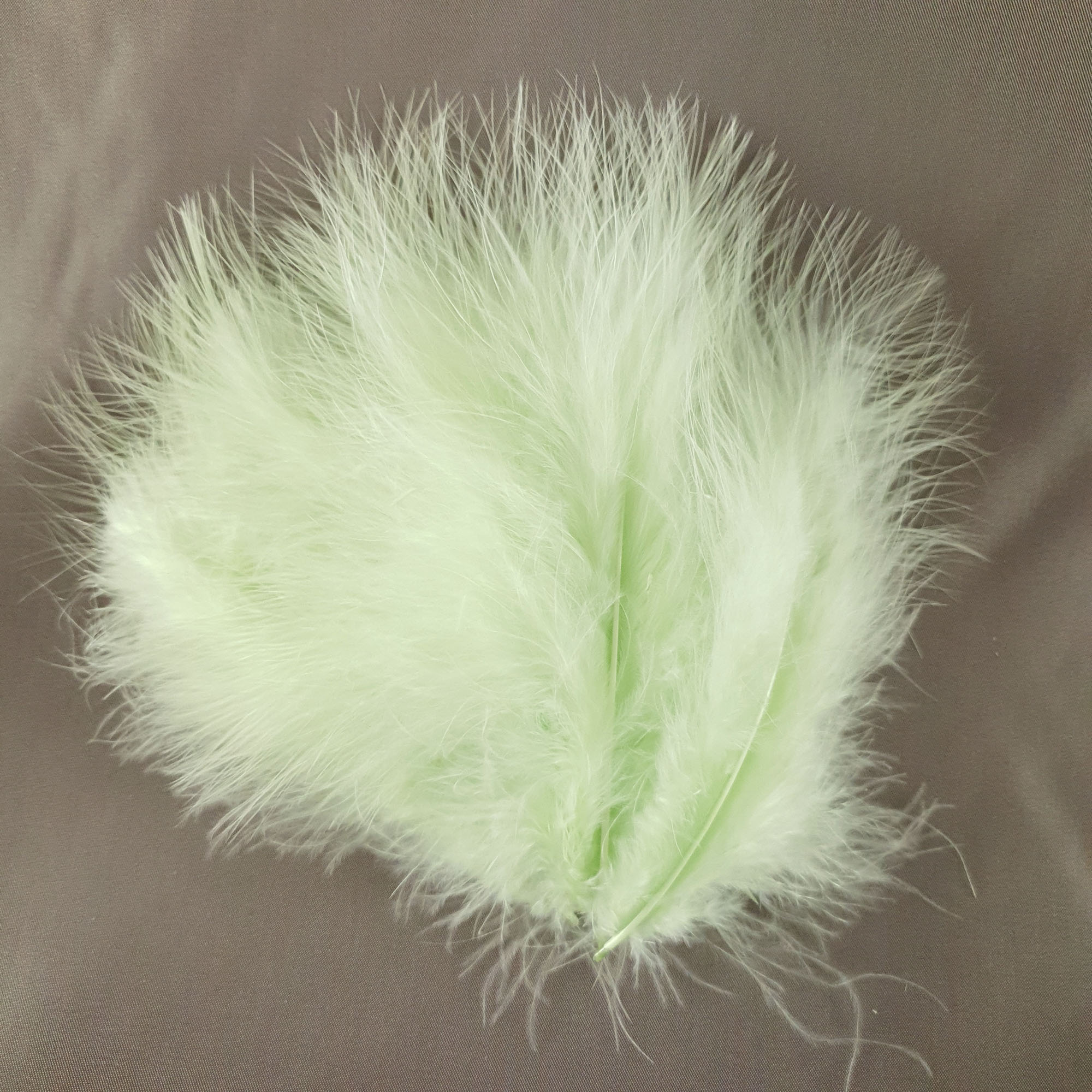 plume dinde marabout vert pistache