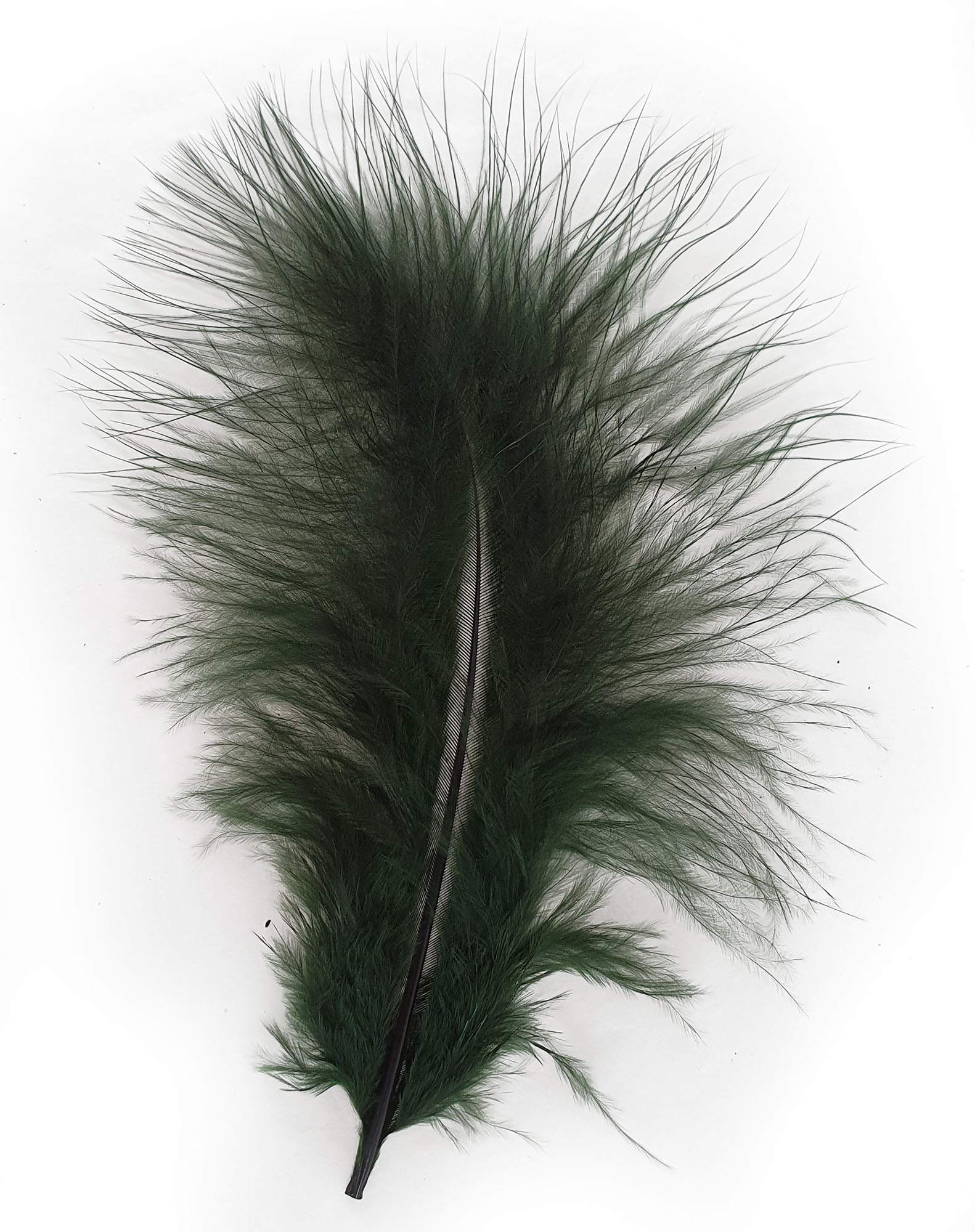 plume petite dinde marabout rubis