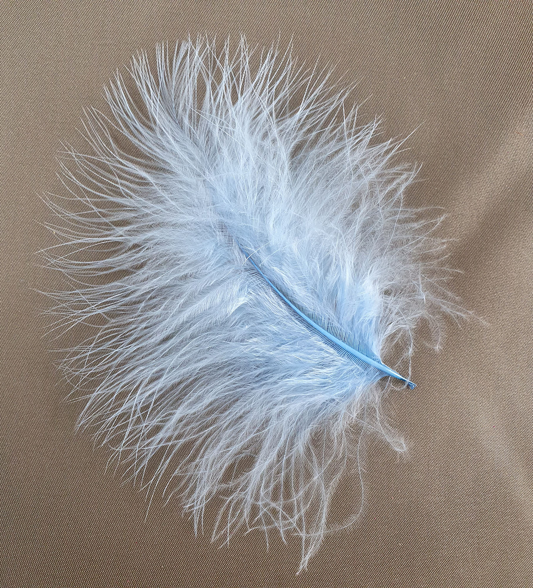 plume dinde marabout bleu porcelaine